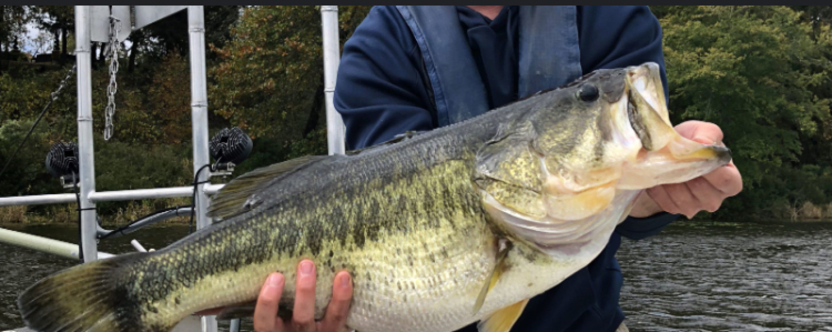 Customer Catch Story: Micah woods