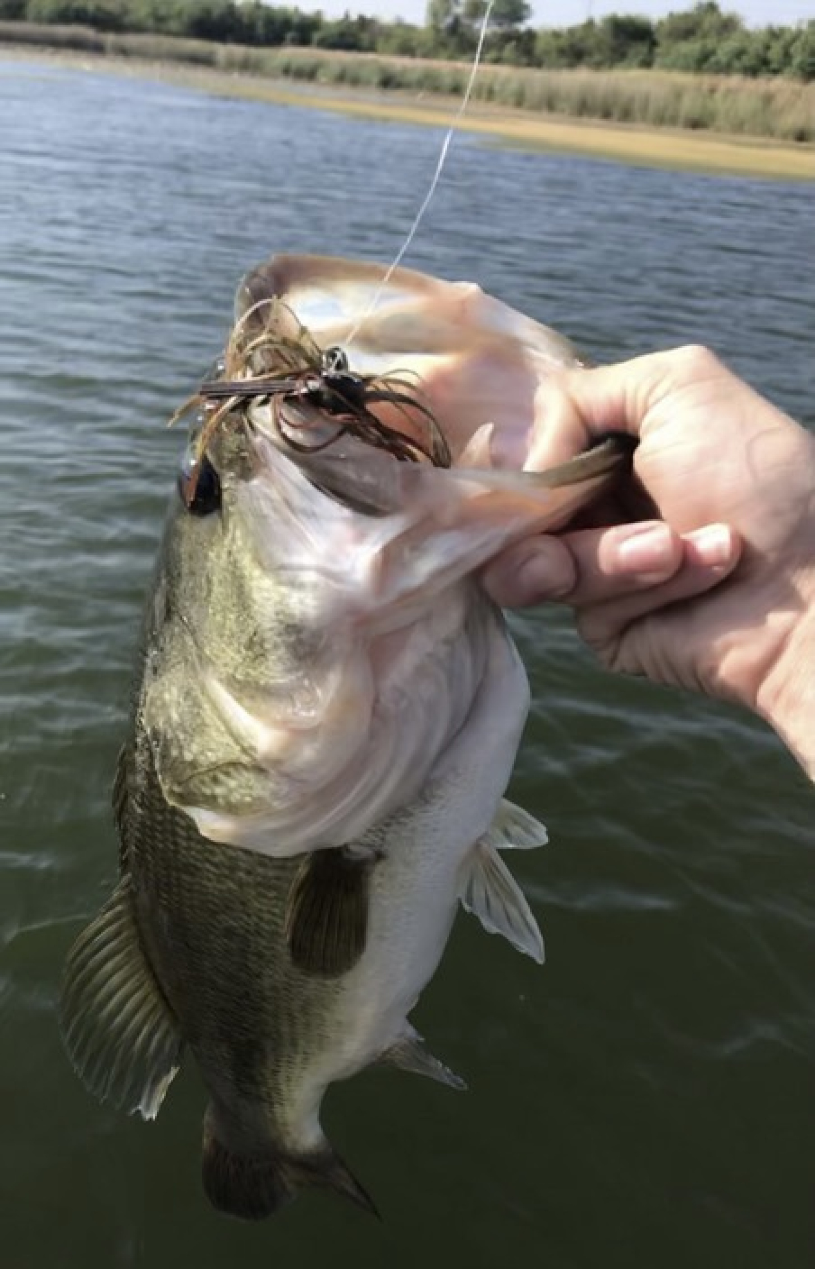 Customer Catch Story: Dominic Winnie