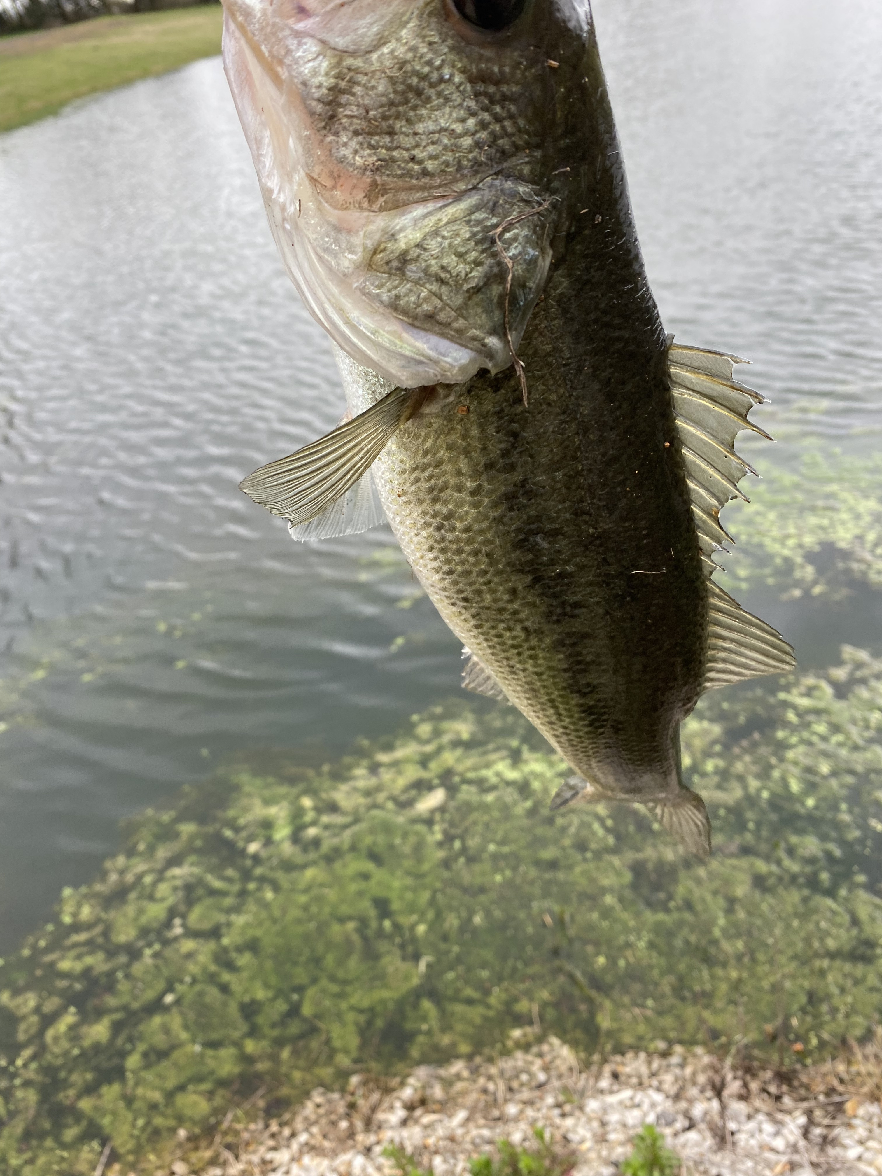 Customer Catch Story: Christopher Adams
