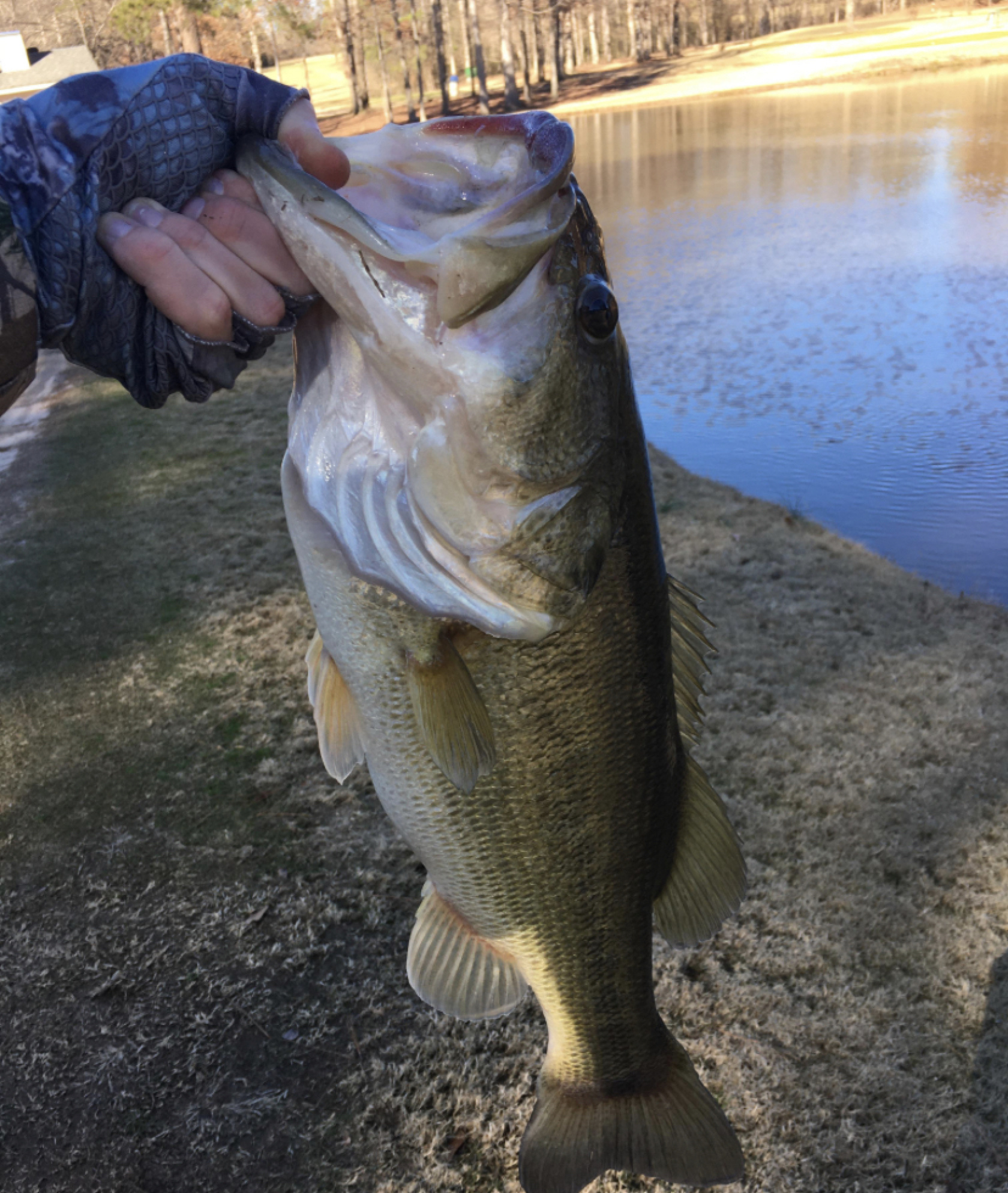 Customer Catch Story: Michael Yoder