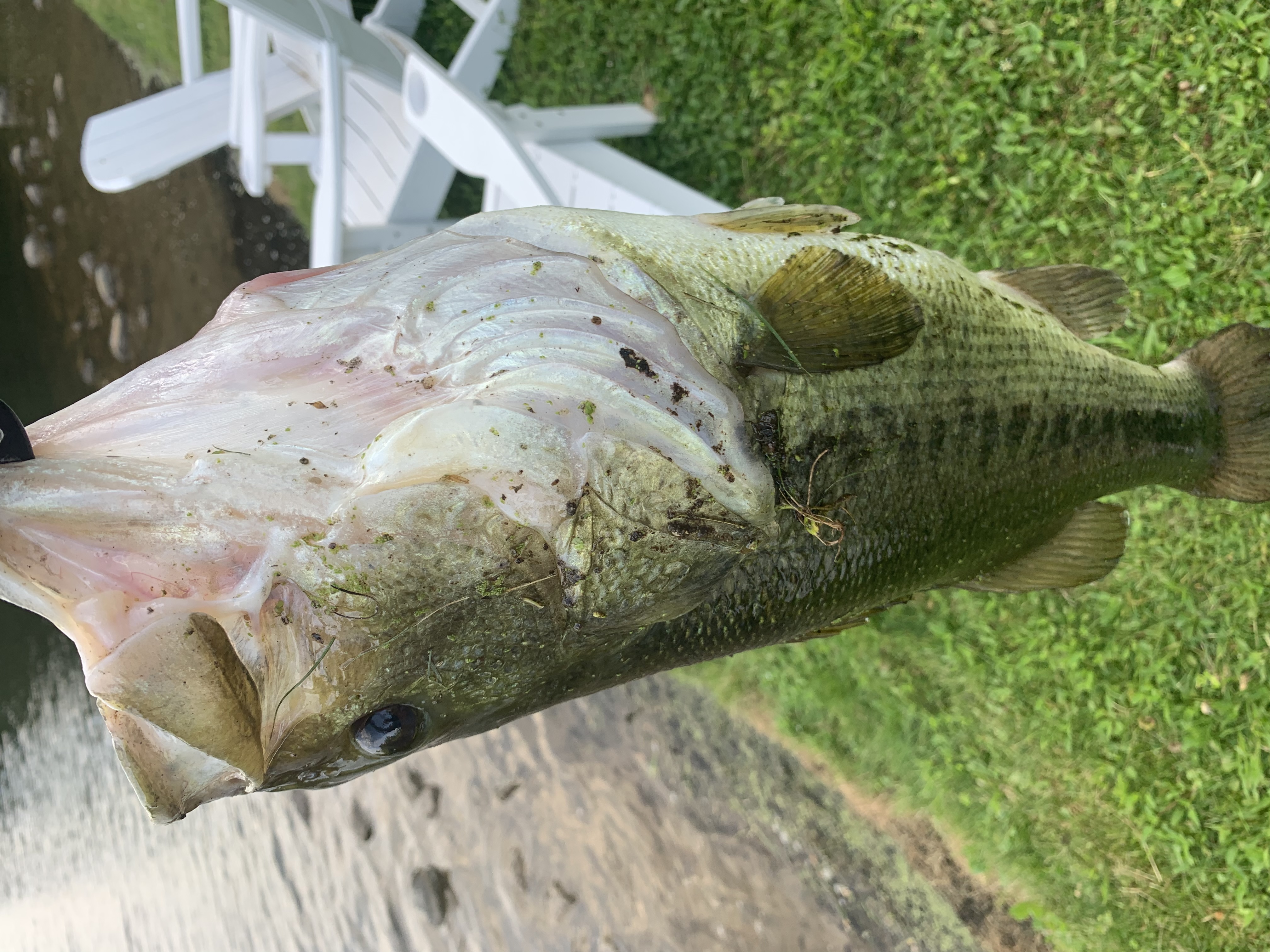 Customer Catch Story: Kevin Bouma