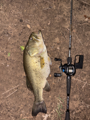 Customer Catch Story: Diego Martinez