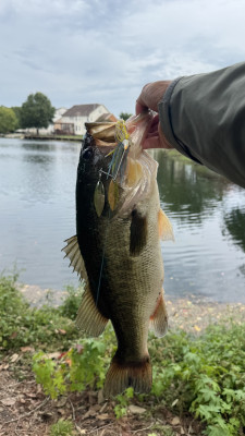 Customer Catch Story: Jay An