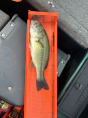 Customer Catch Story: Joseph Sims