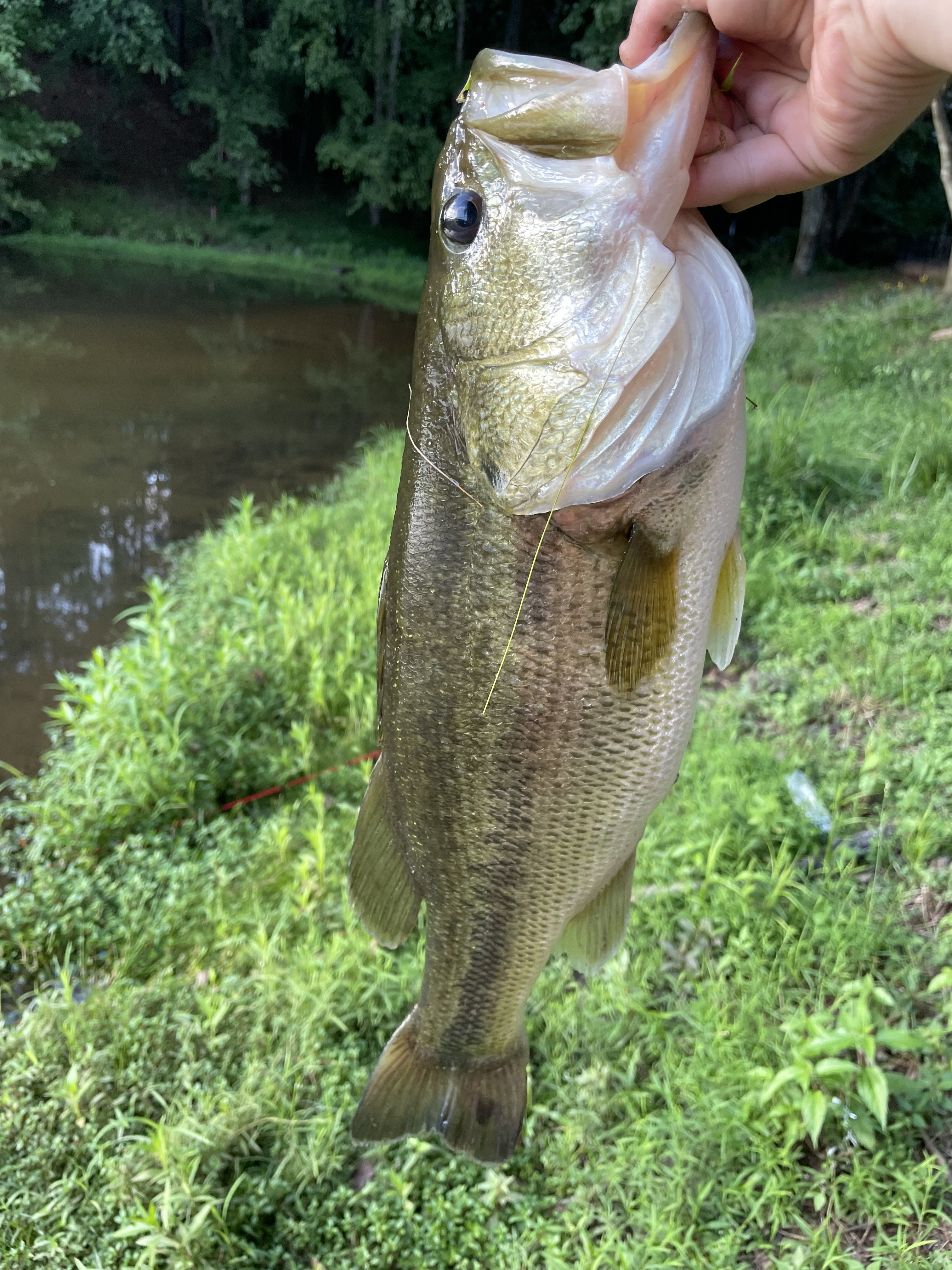 Customer Catch Story: Taylor Warren