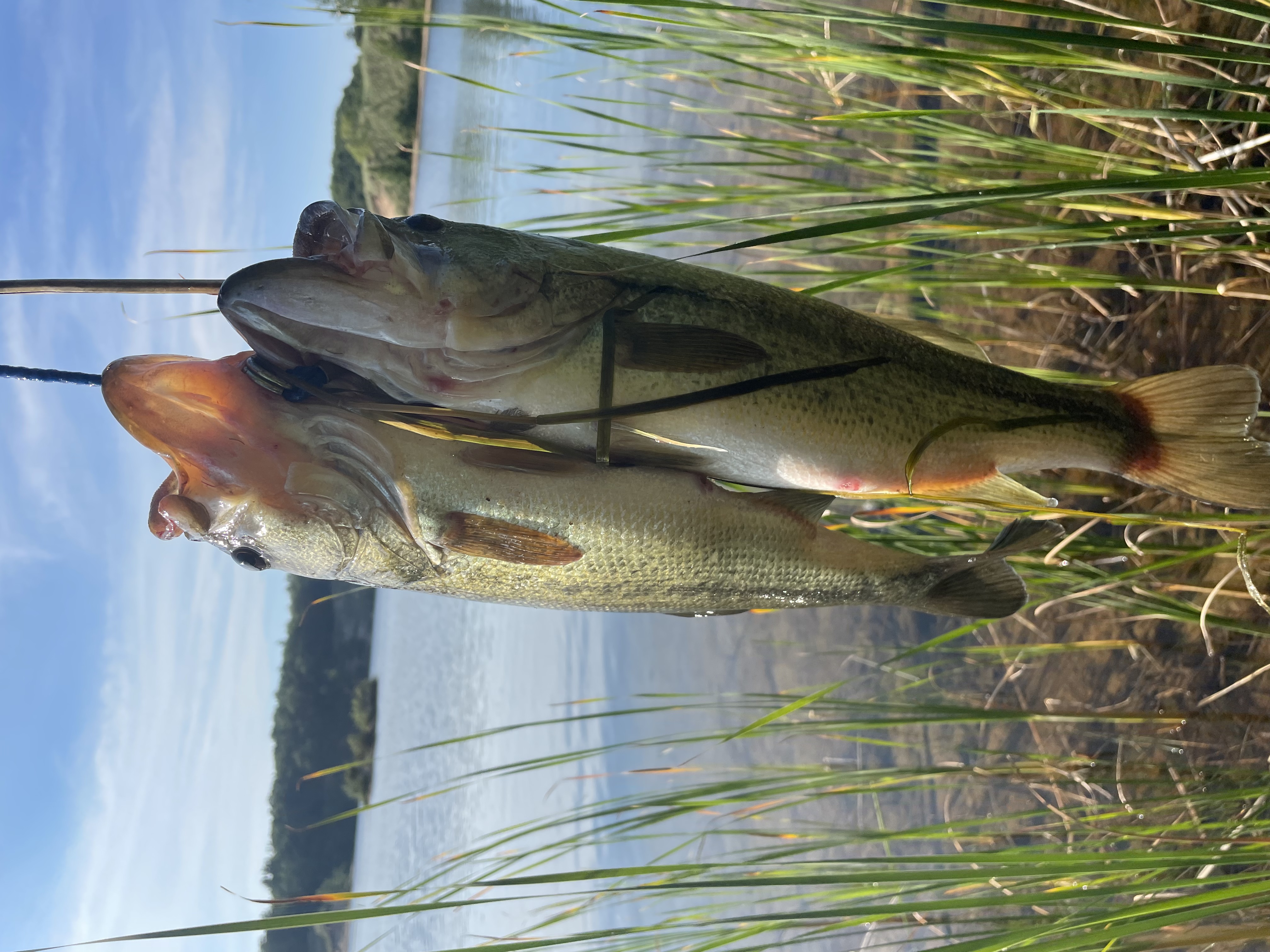 Customer Catch Story: Miguel Quinteros