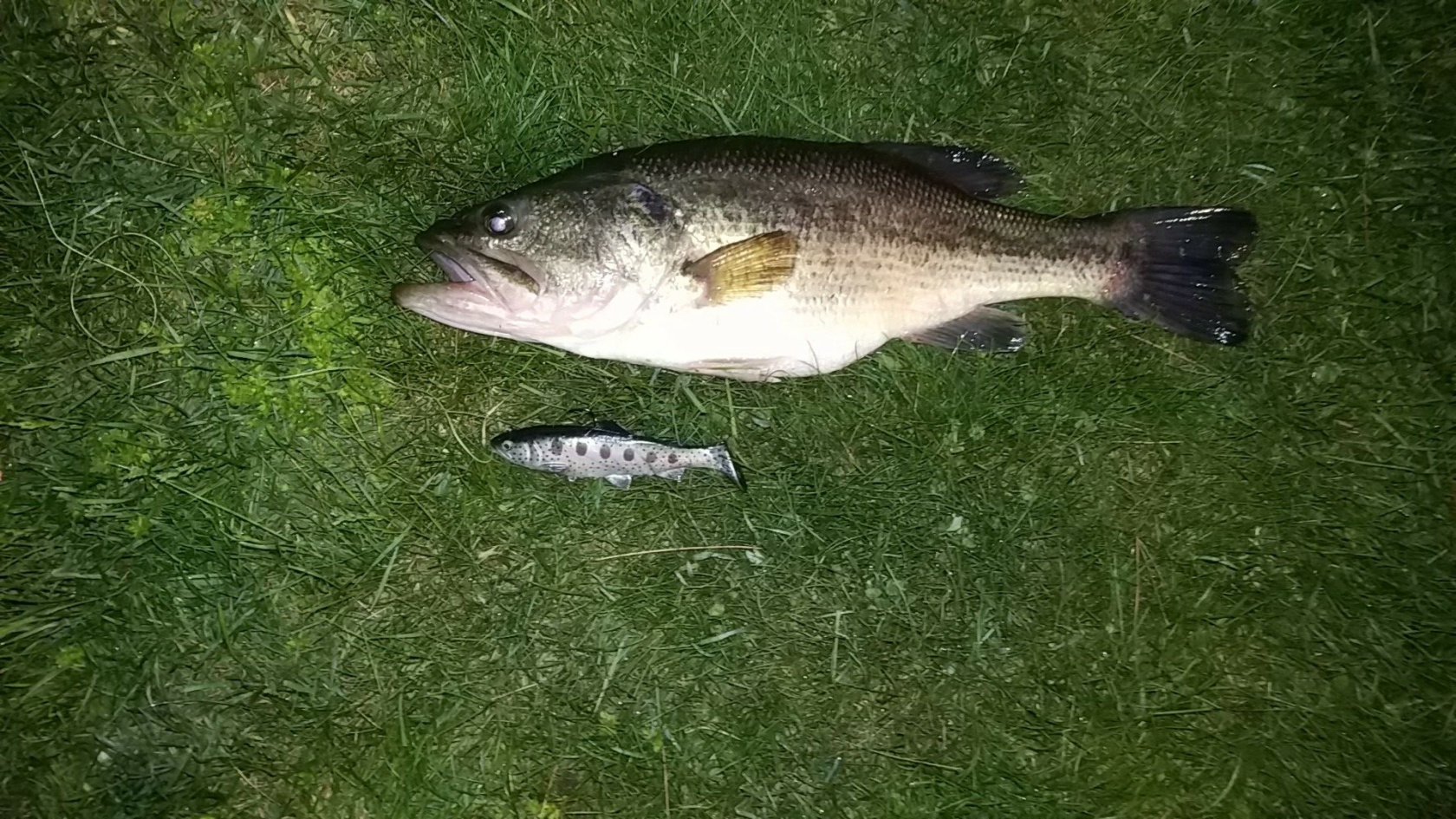 Customer Catch Story: Chad Closson