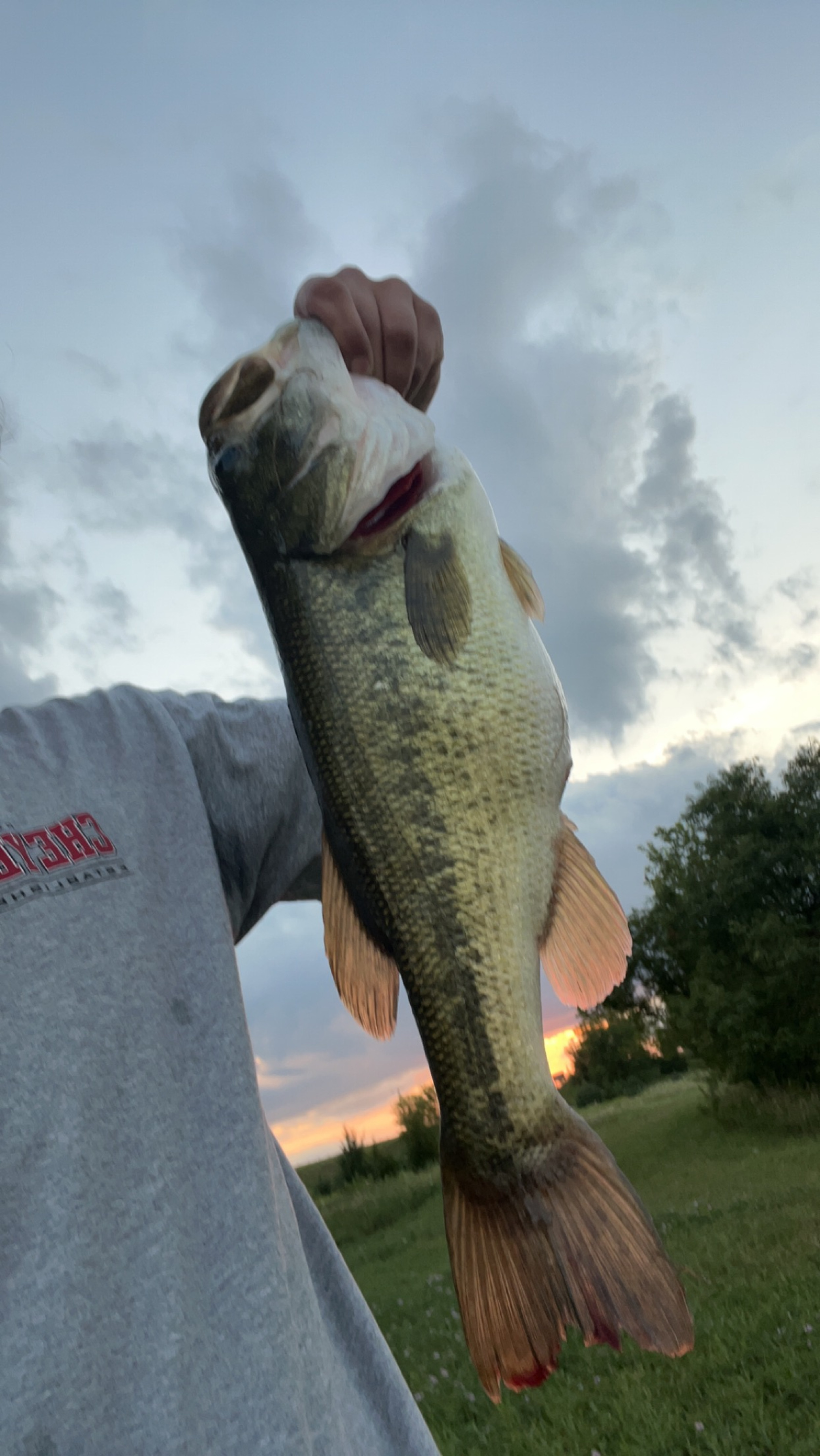 Customer Catch Story: Aiden Gutierrez