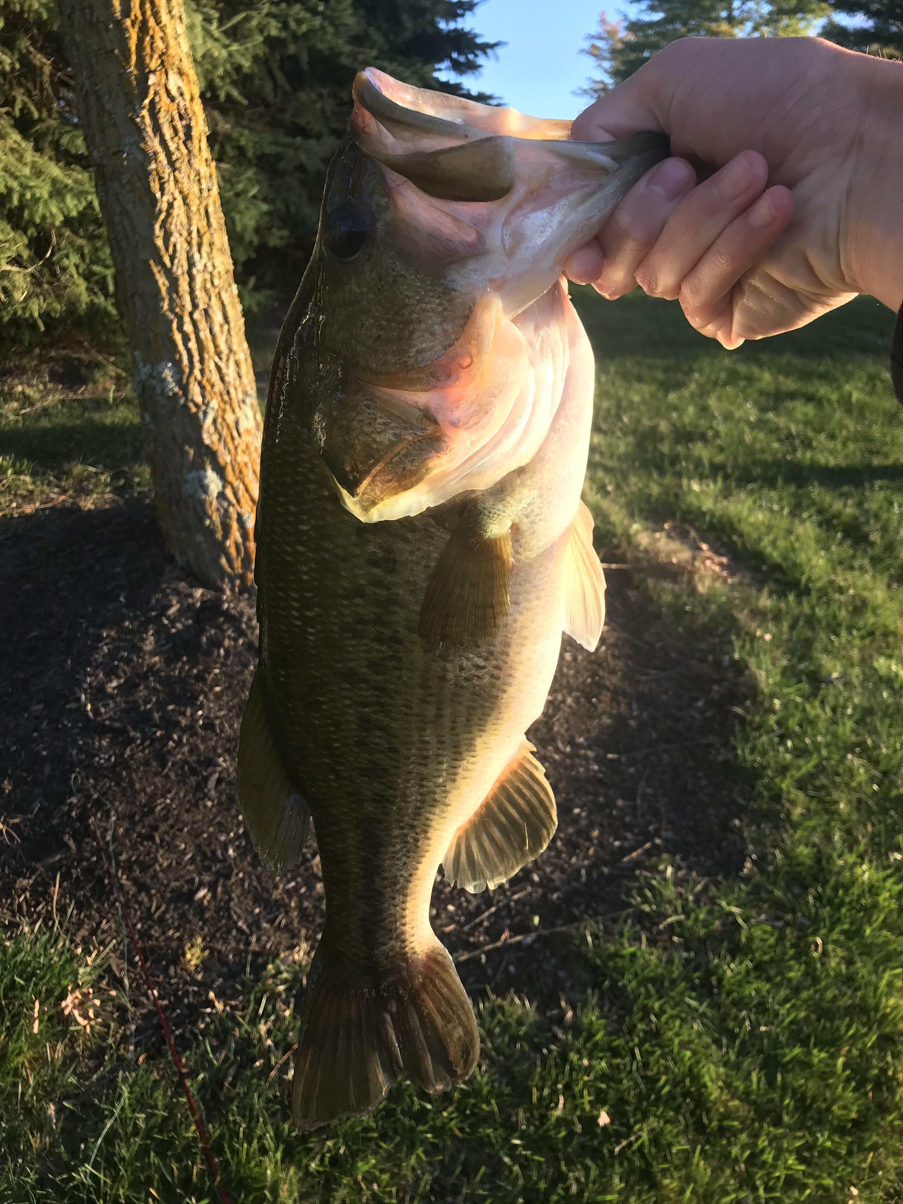 Customer Catch Story: Jackson Harvey