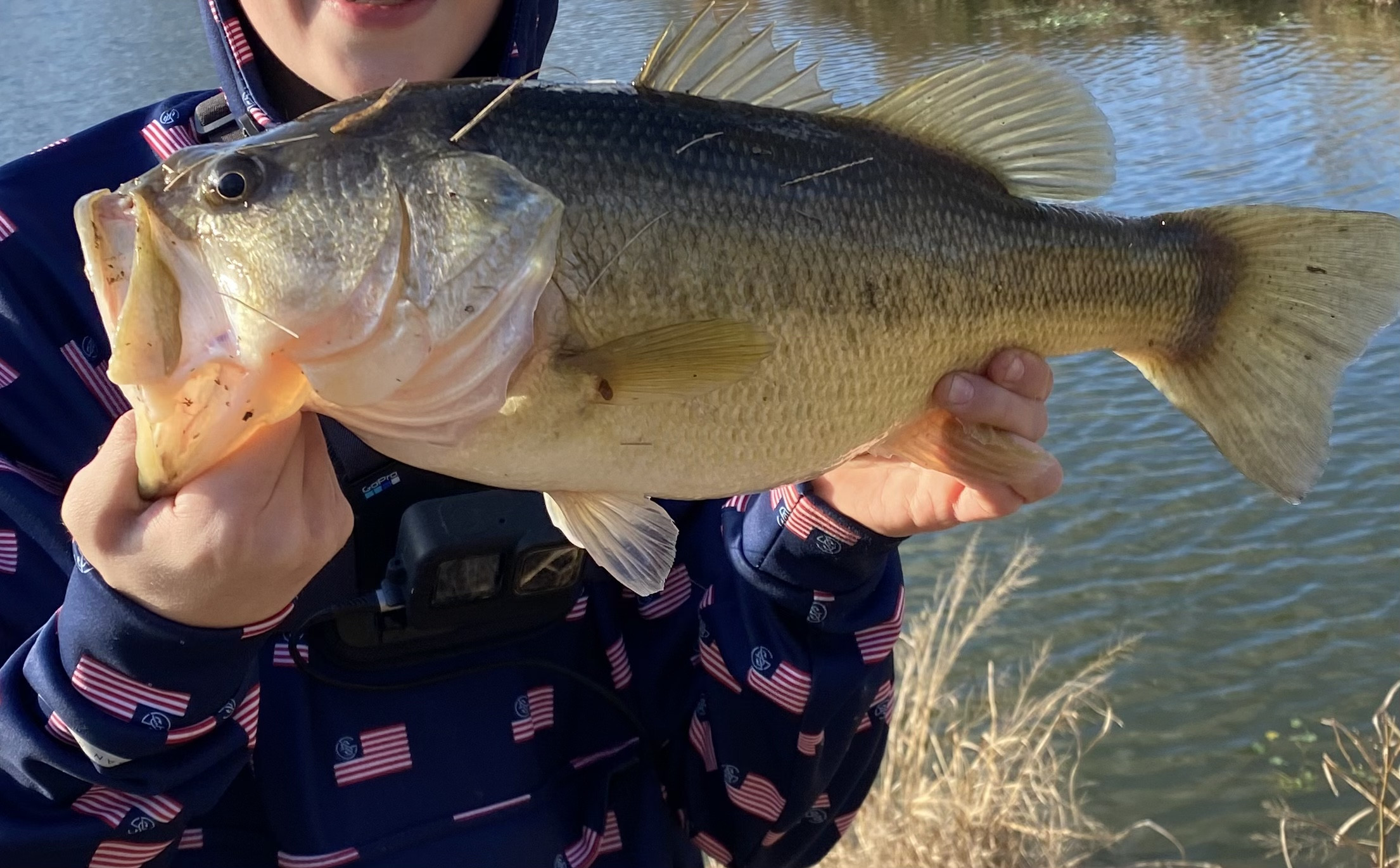 Customer Catch Story: Porter Wyatt