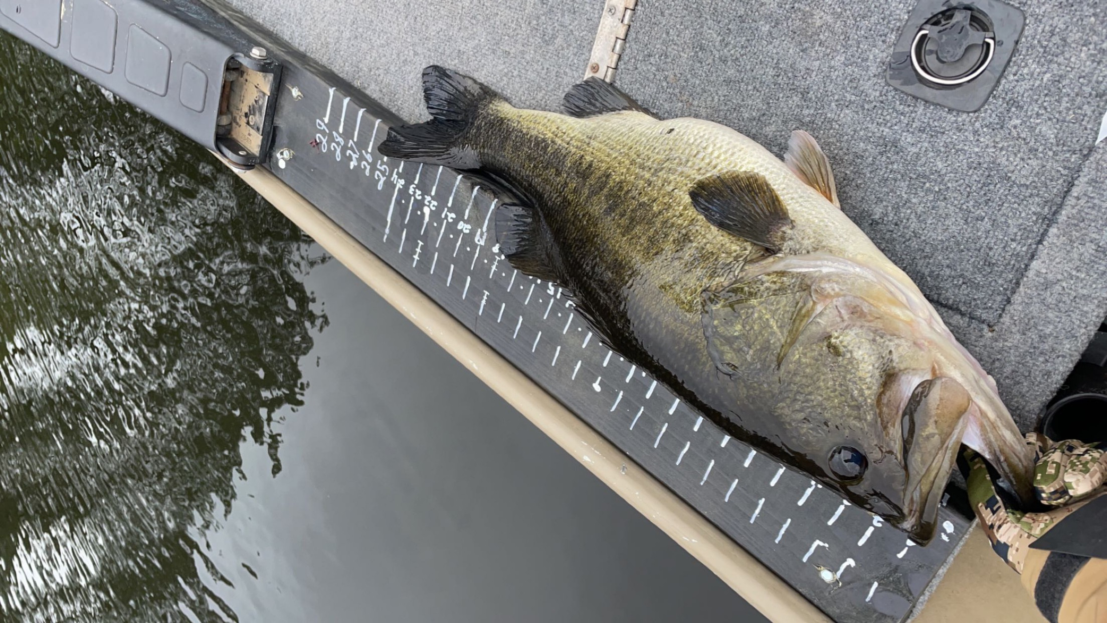 Customer Catch Story: Chris Kilpatrick