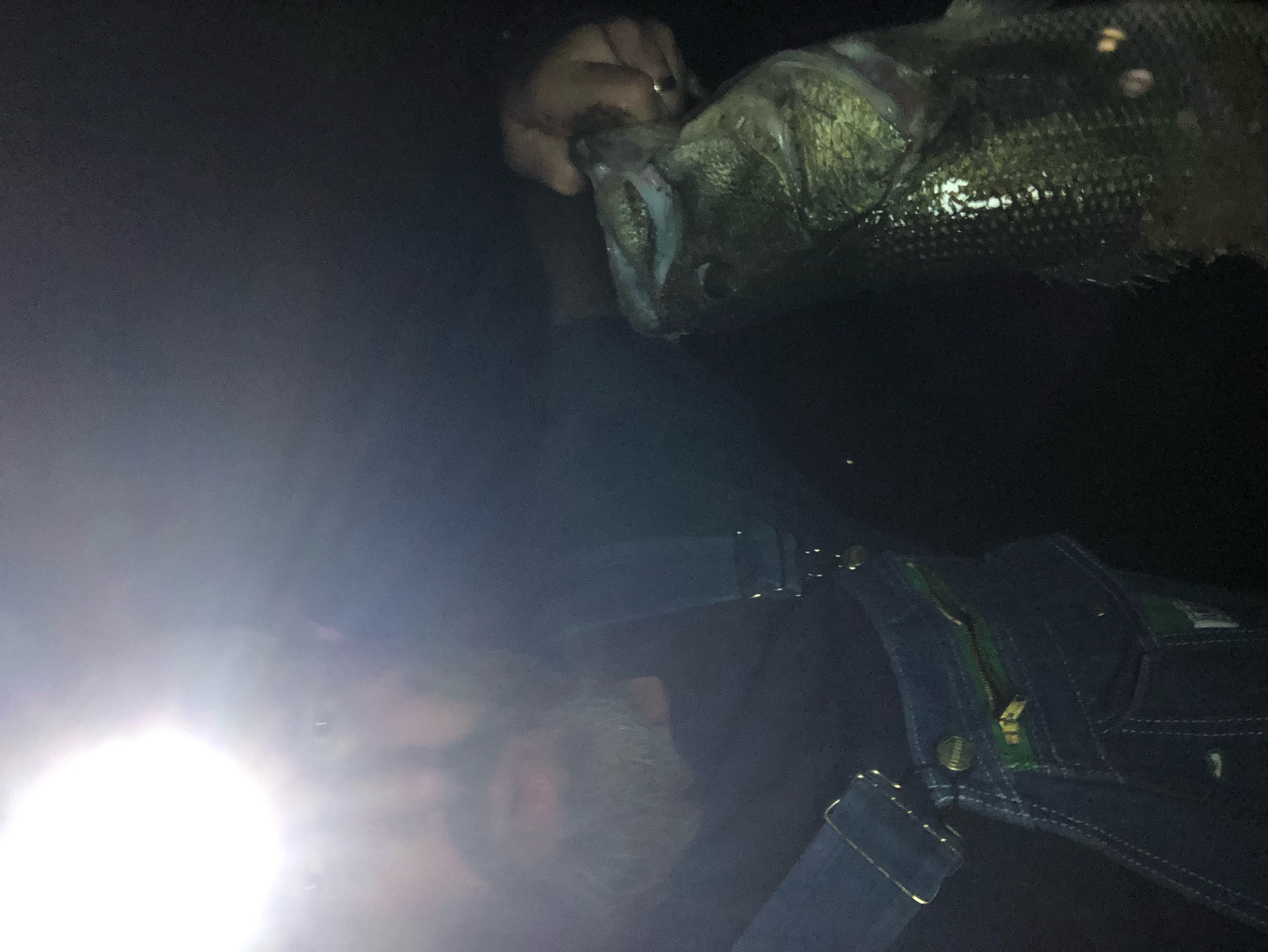 Customer Catch Story: Joseph Branch