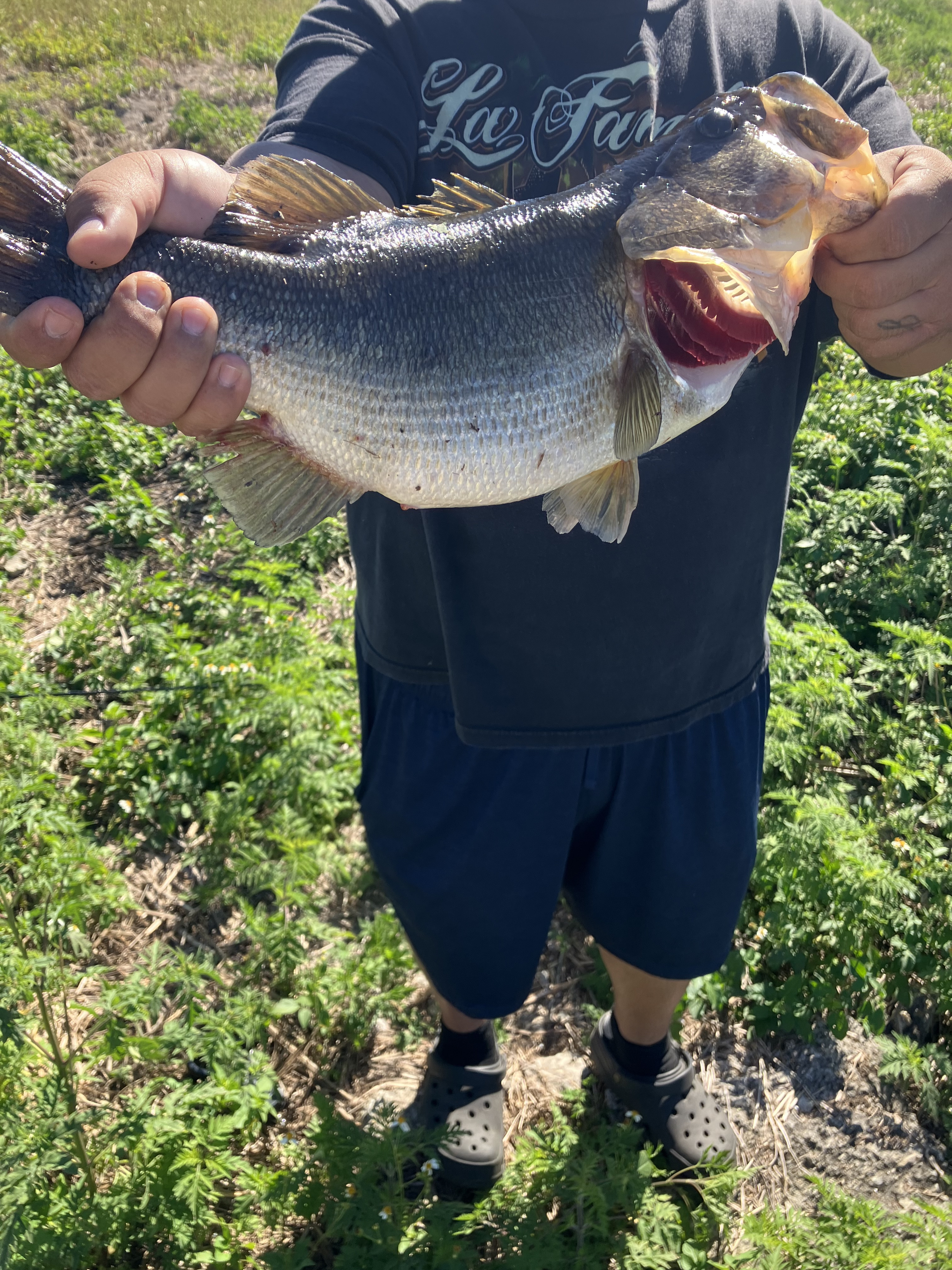 Customer Catch Story: Emilio Hernandez