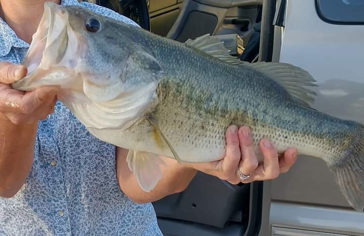 Customer Catch Story: Ava Rice