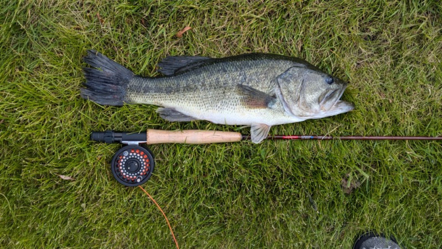 Customer Catch Story: Jonah Sens