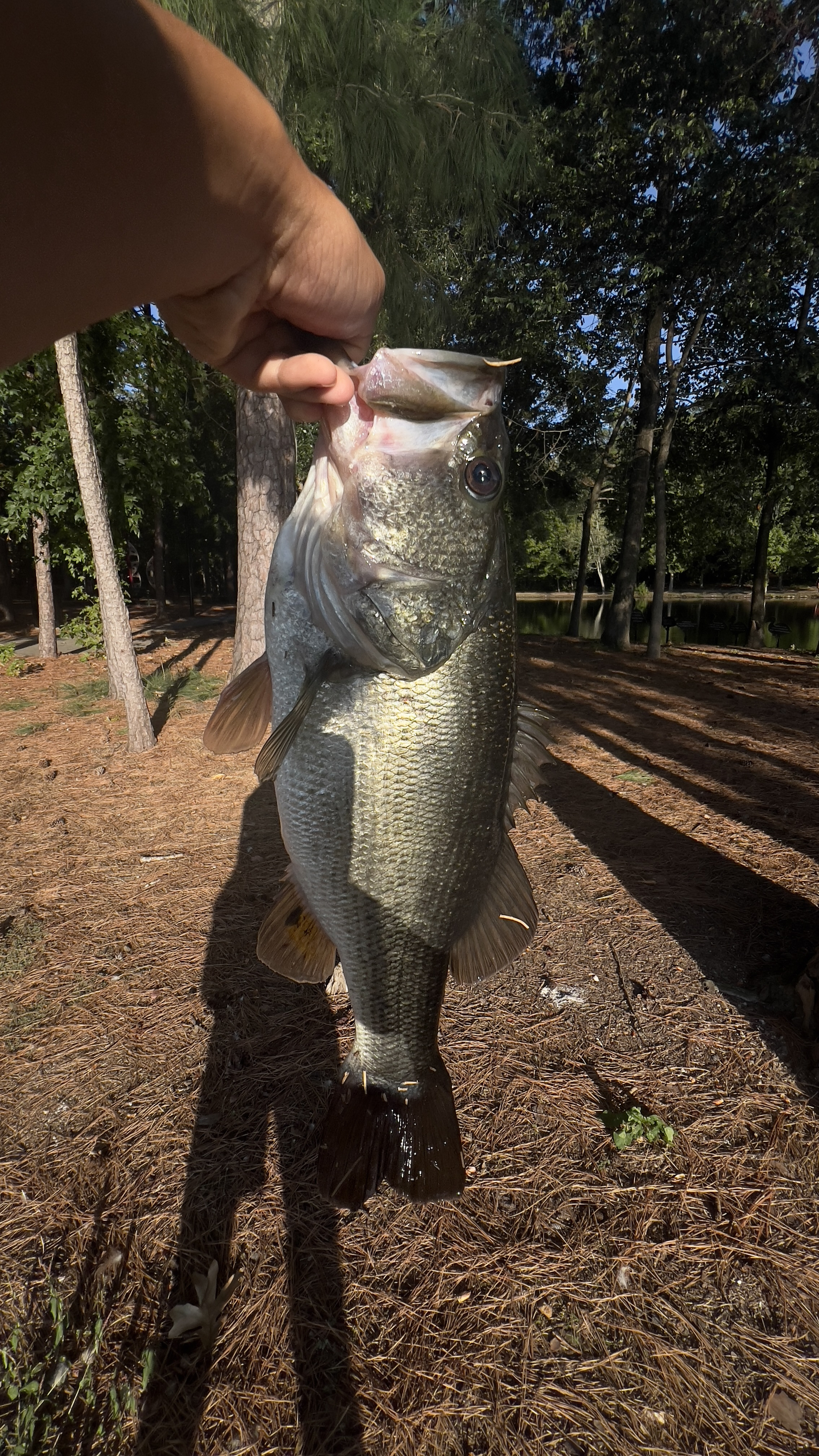 Customer Catch Story: Vincent Le