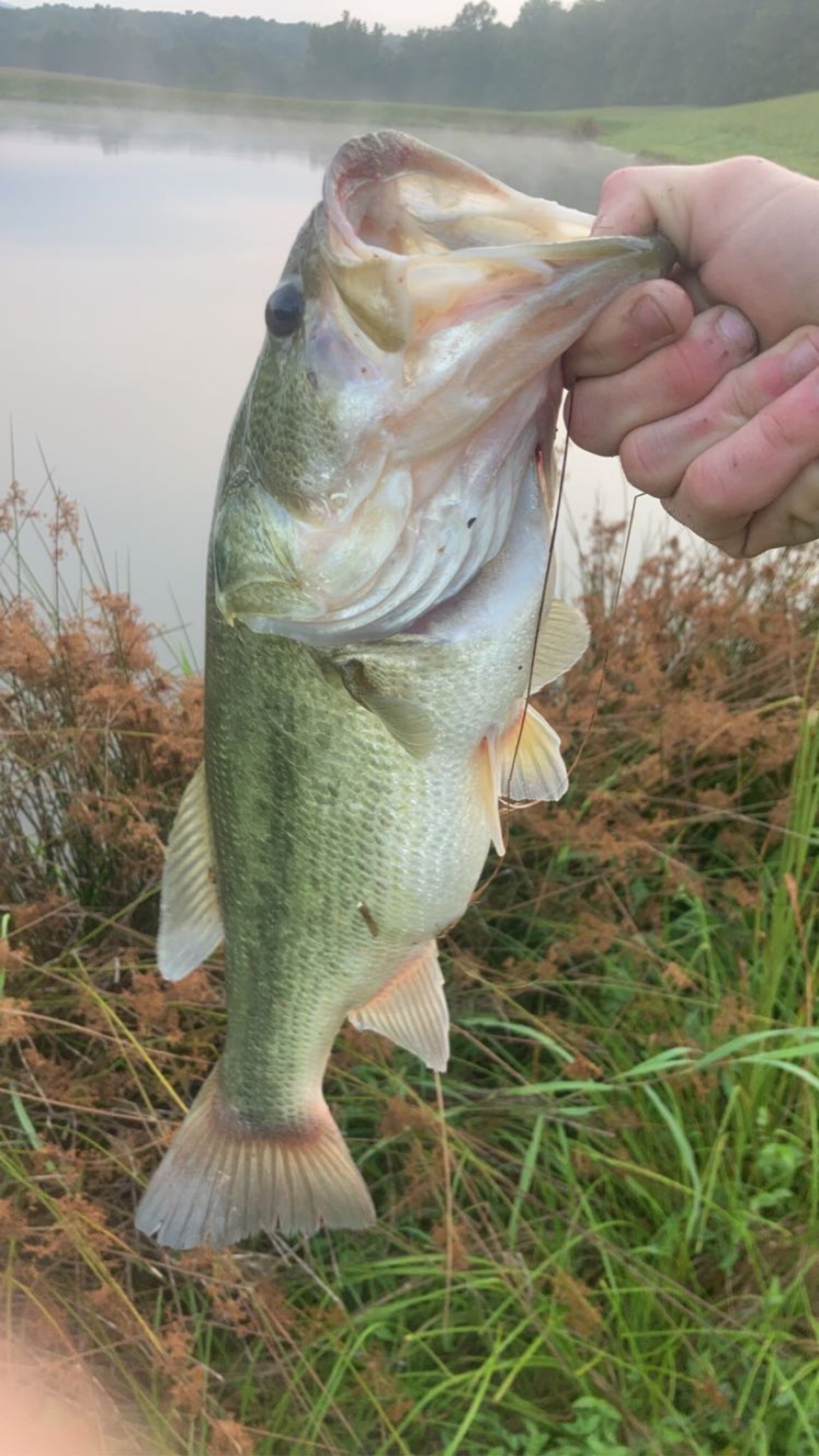 Customer Catch Story: William Johns