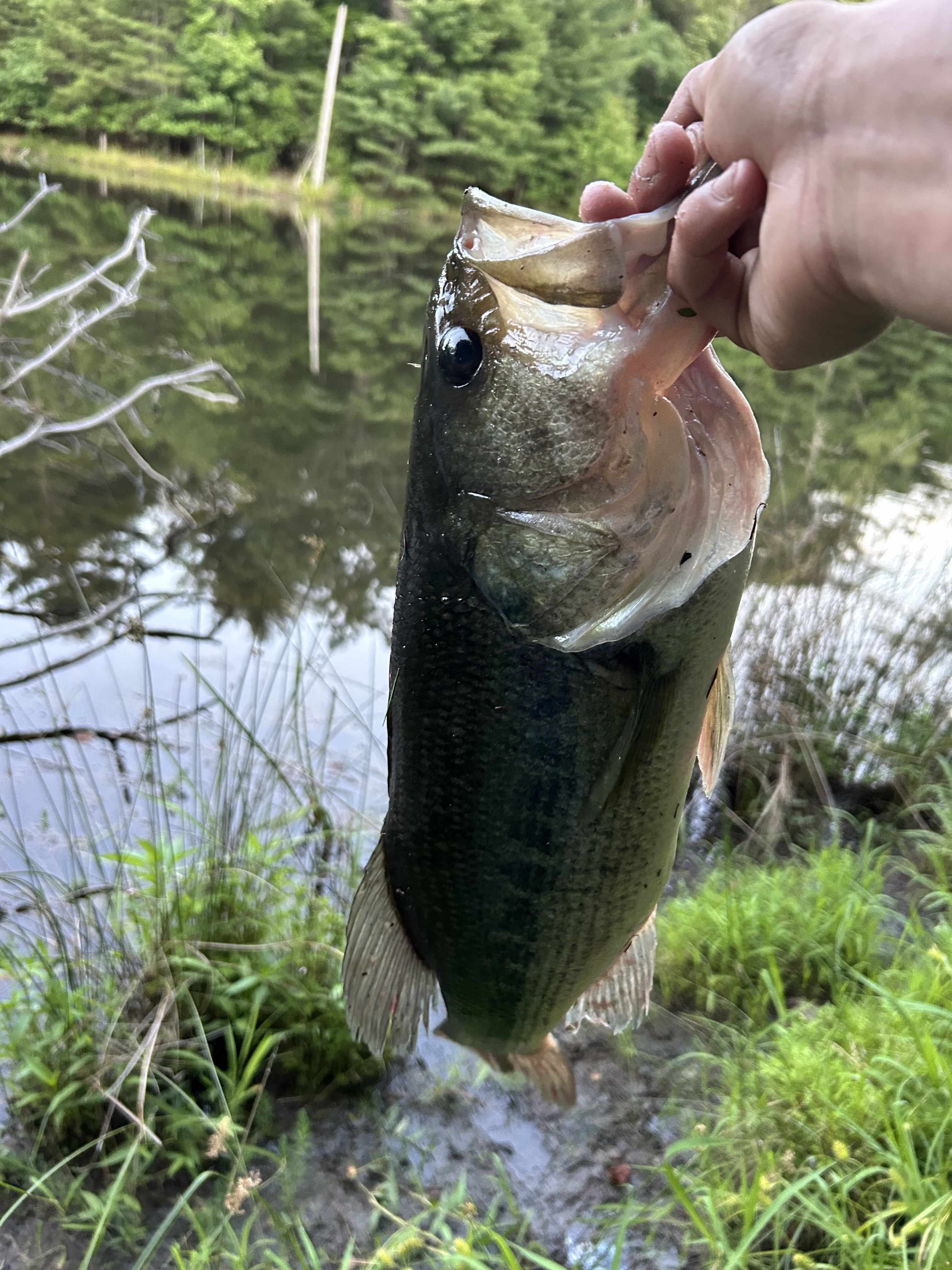 Customer Catch Story: Andrew Perkins