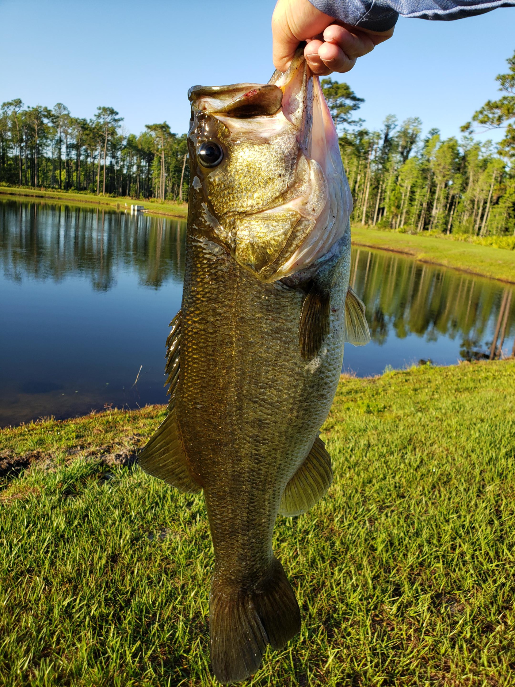 Customer Catch Story: Tyler Burke