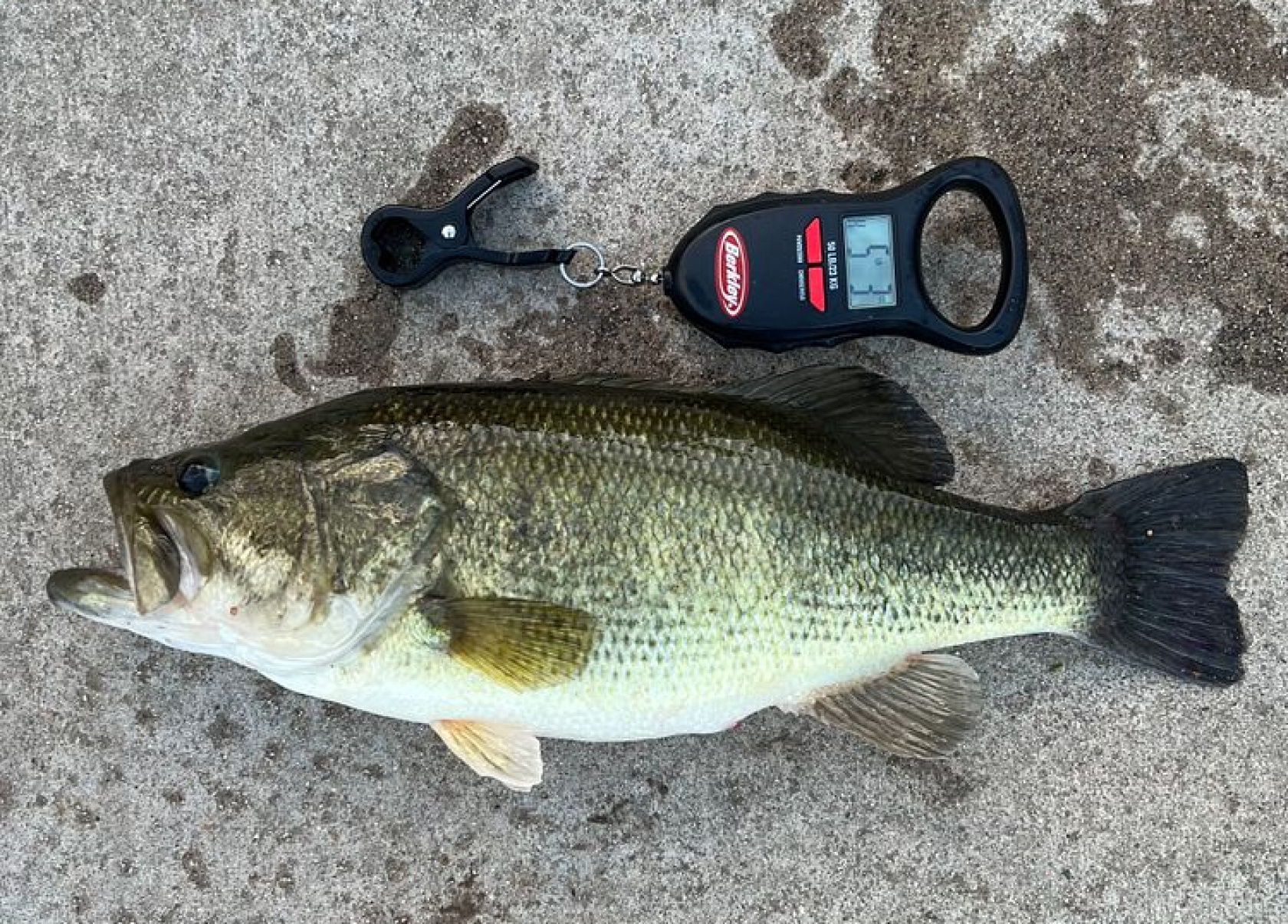 Customer Catch Story: John Tristan