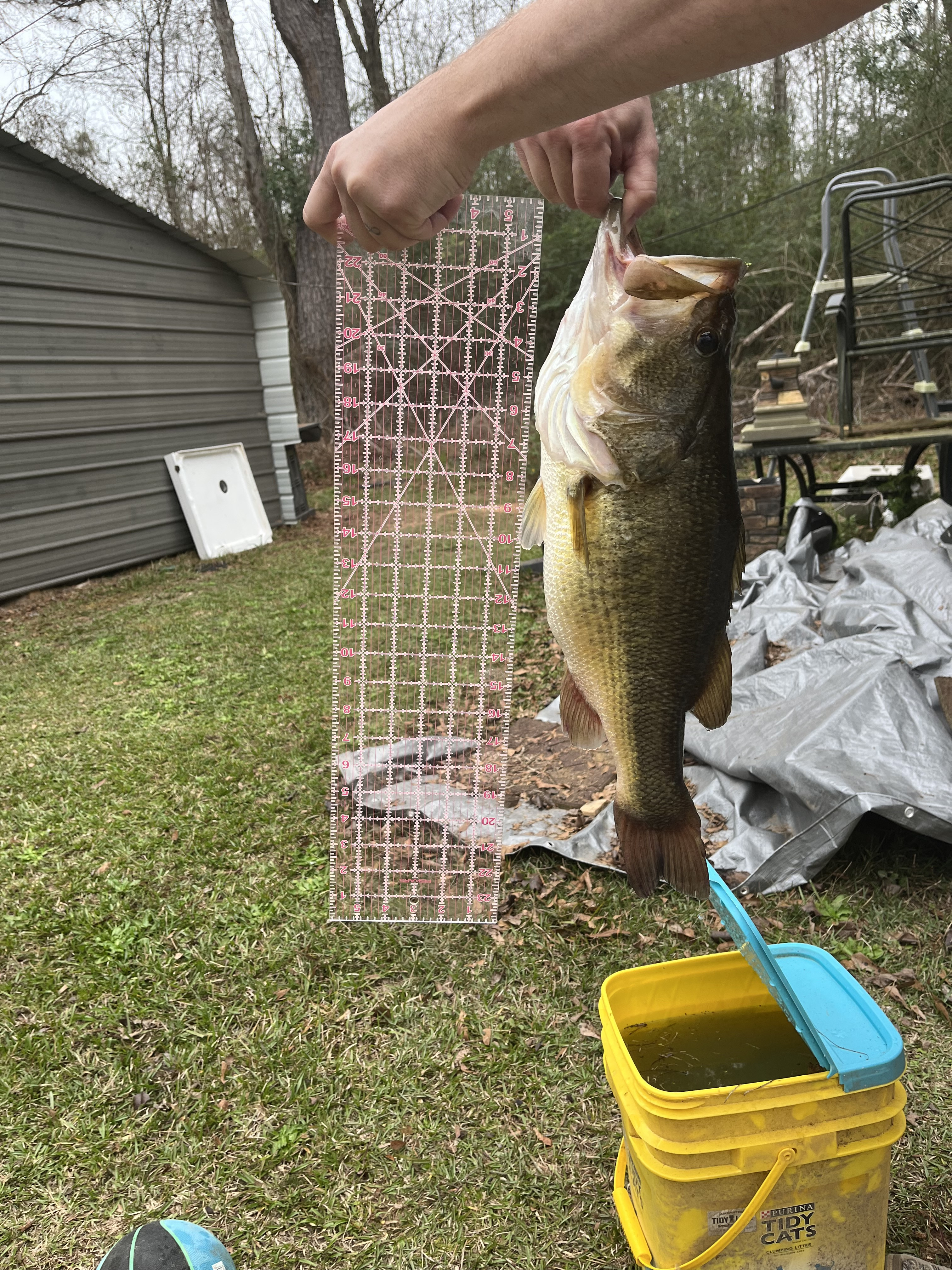 Customer Catch Story: Lucas Freeman