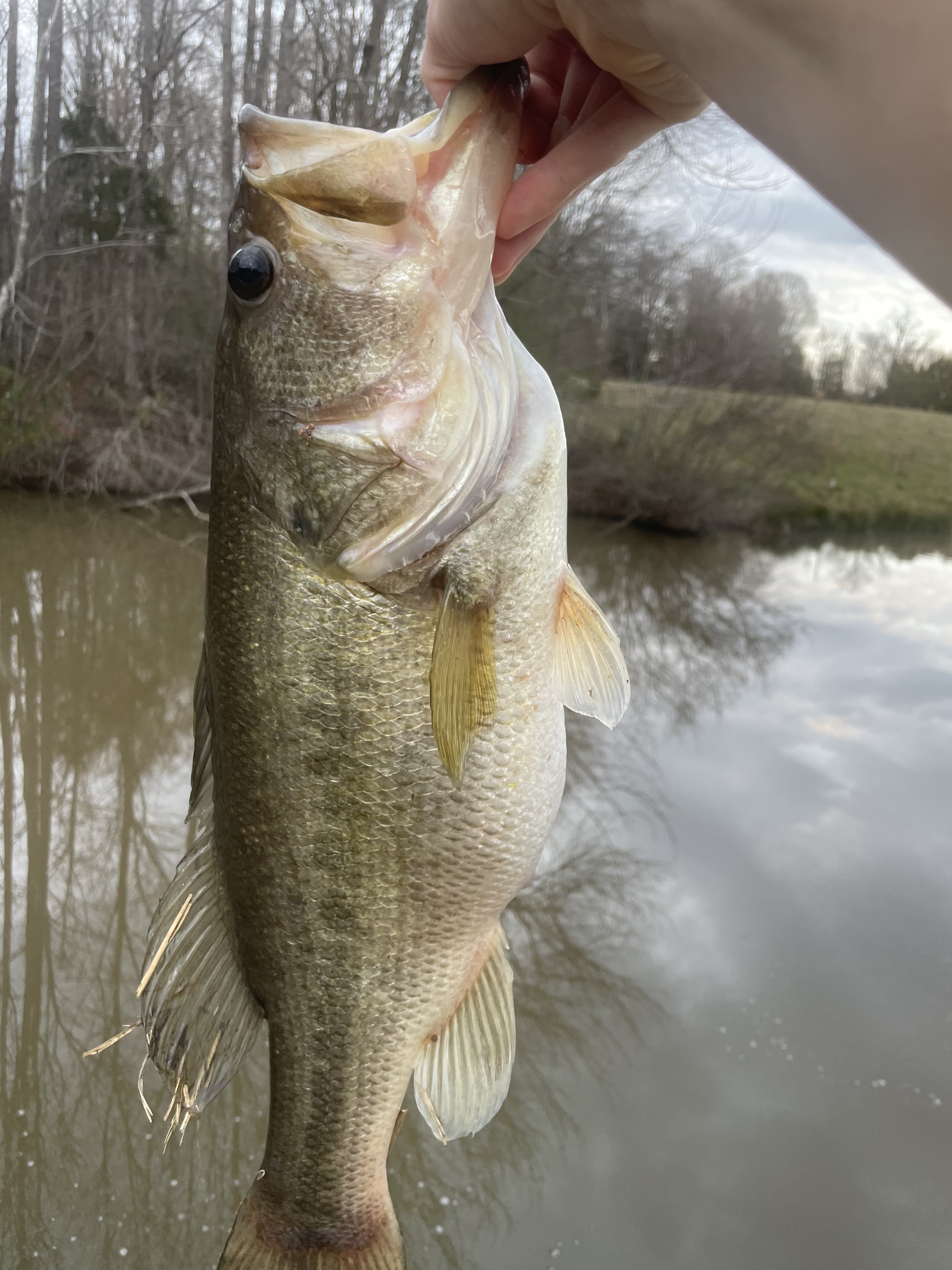 Customer Catch Story: Micah Oates