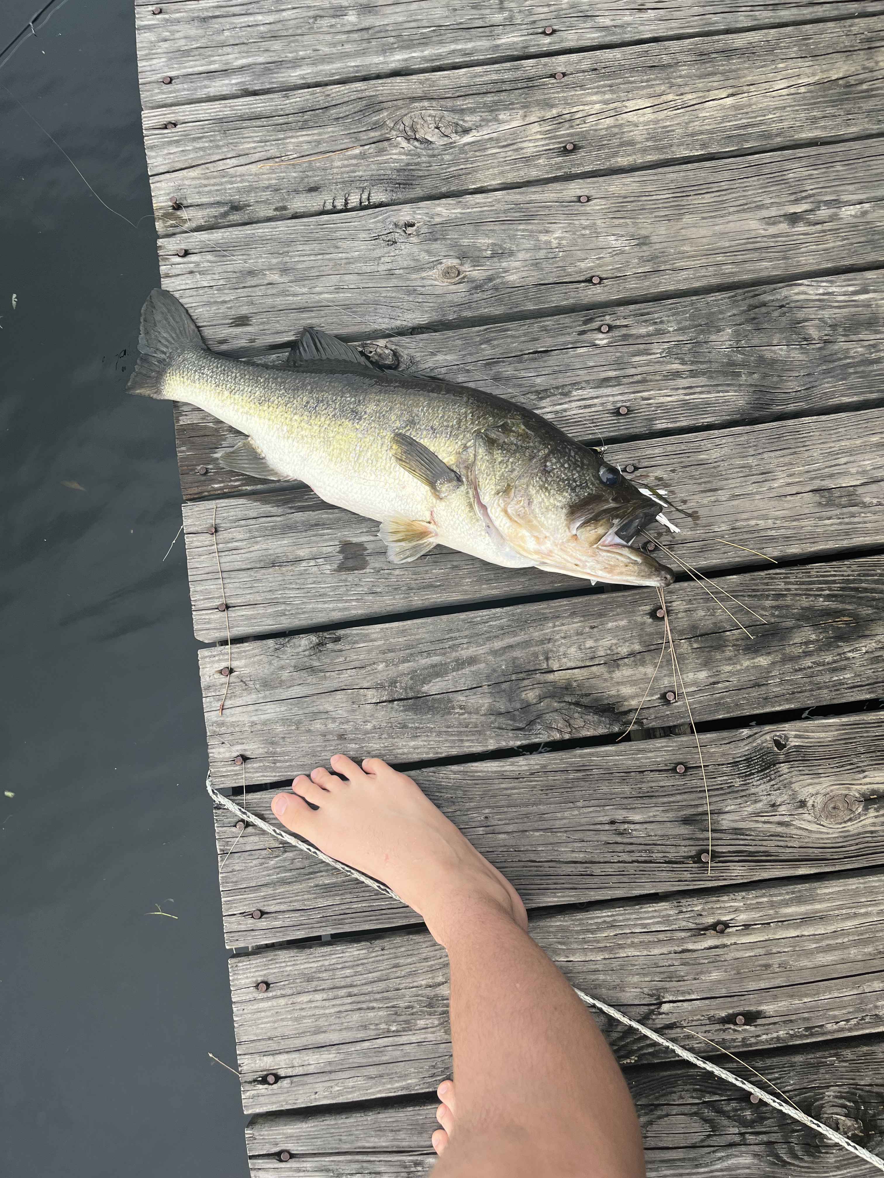 Customer Catch Story: Colten Weiss