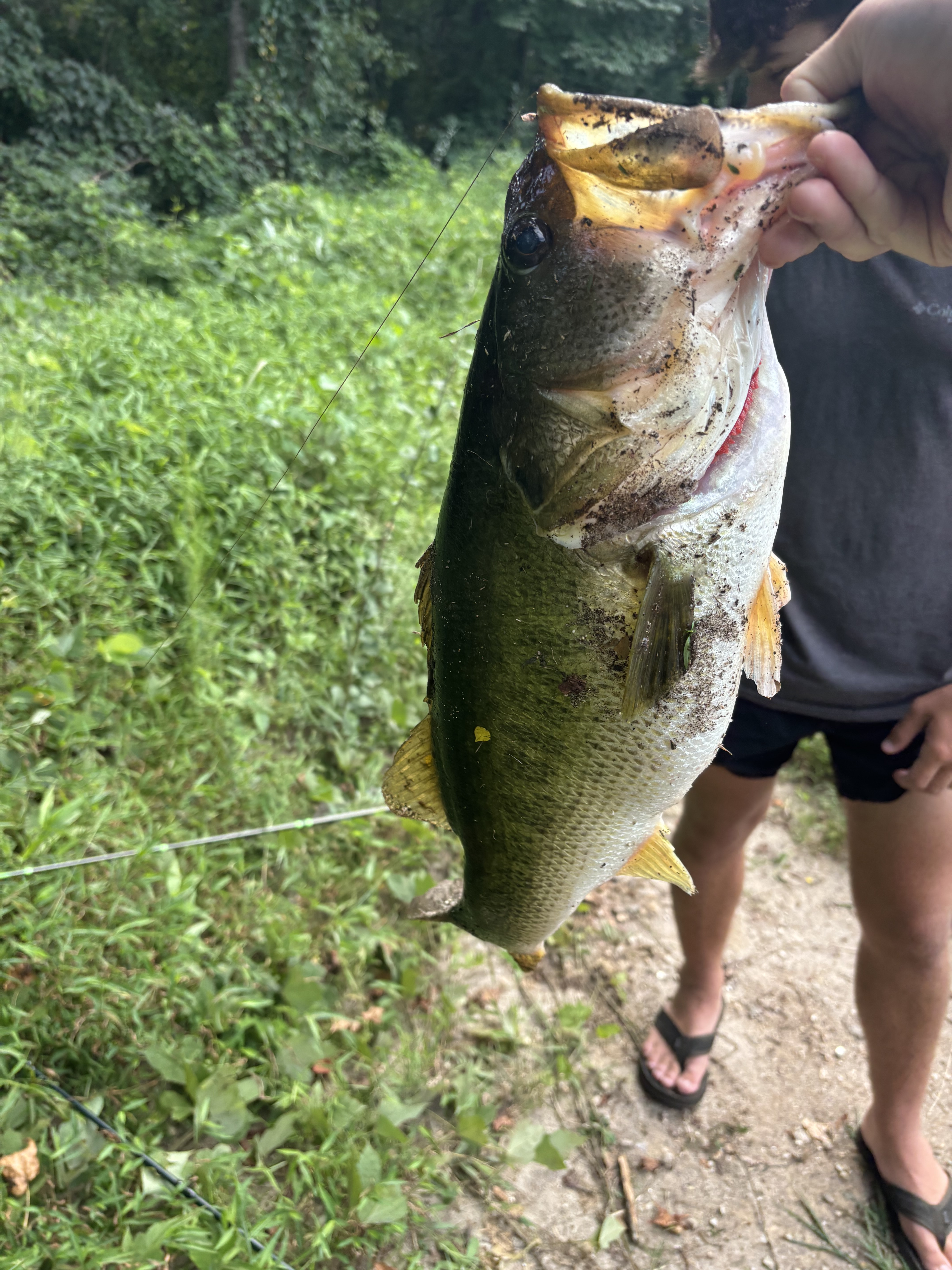 Customer Catch Story: Palmer Odom