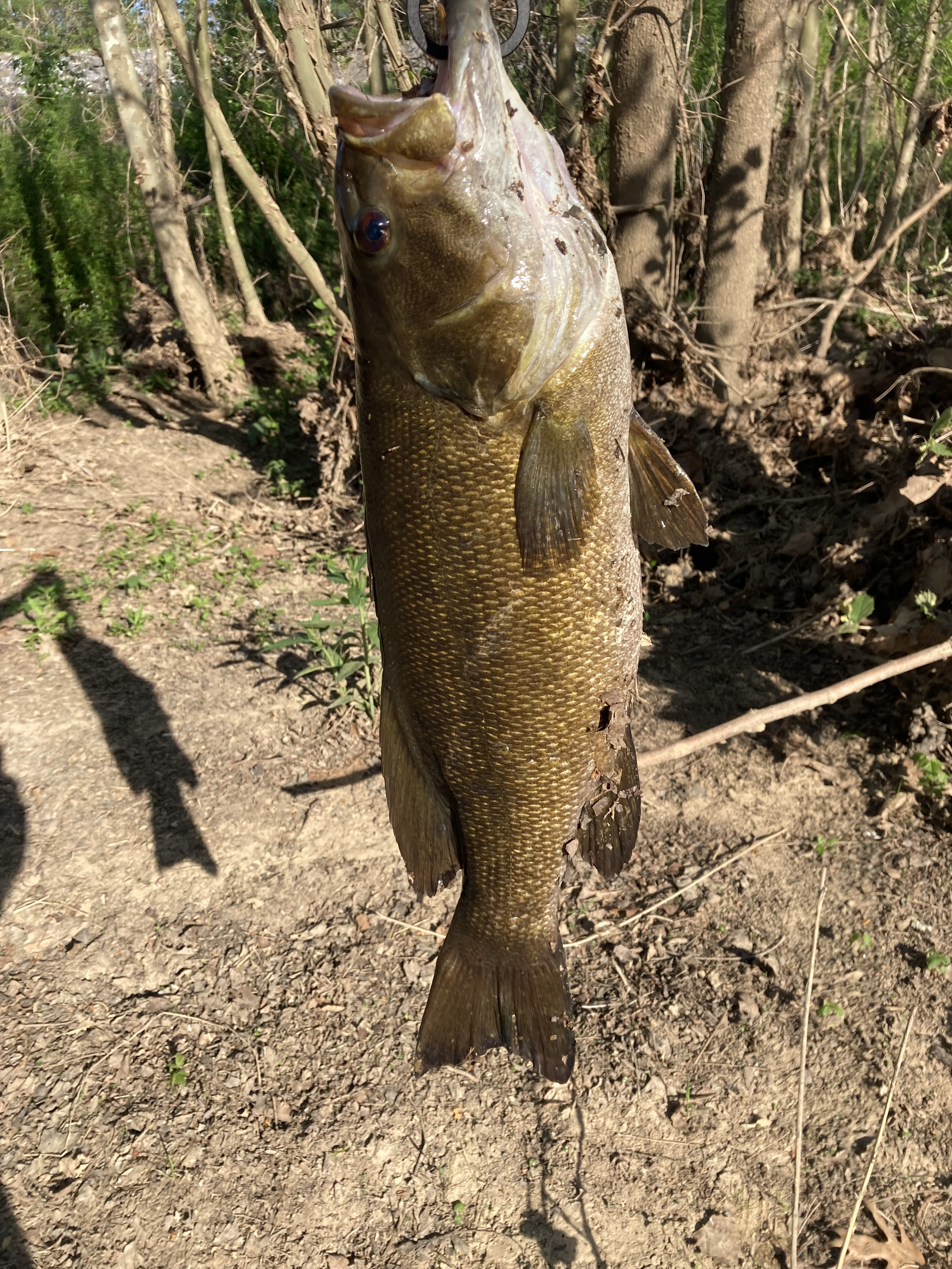 Customer Catch Story: Joshua Hamilton