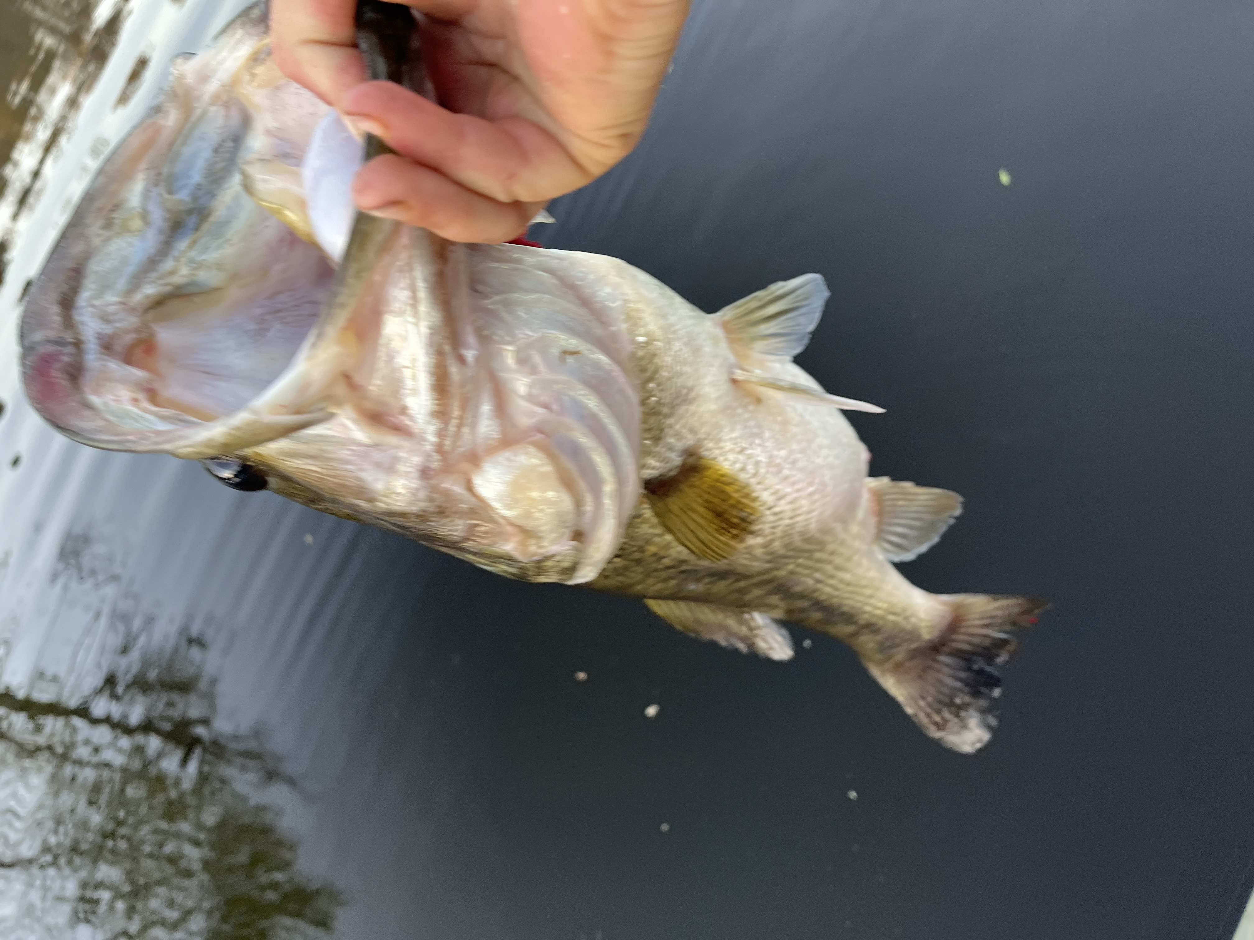 Customer Catch Story: Bryce Talbott