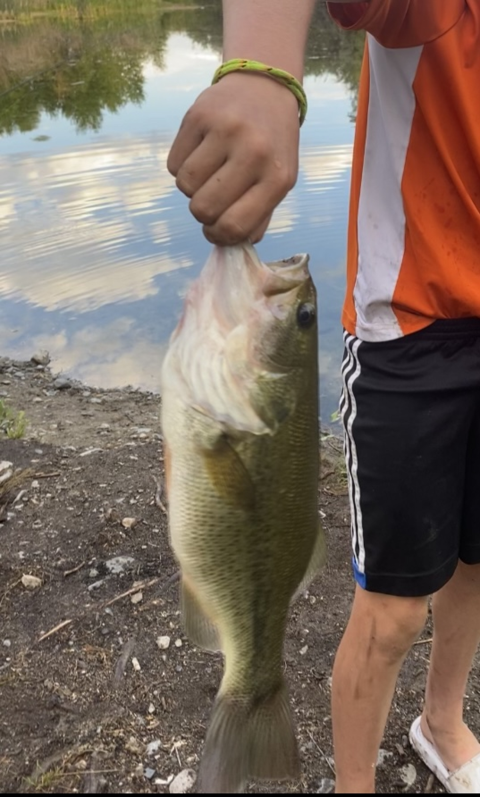 Customer Catch Story: Noah Flynn