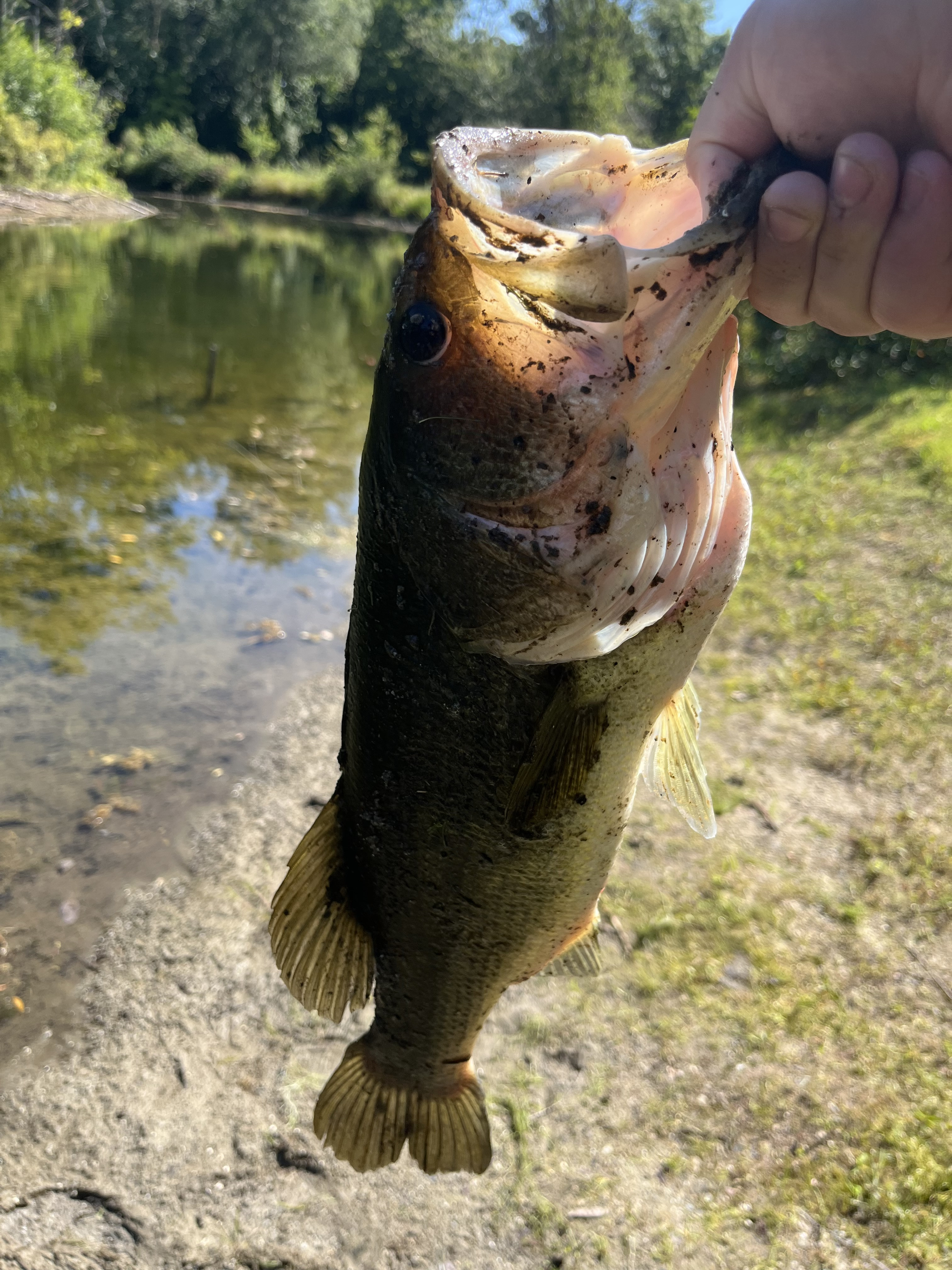 Customer Catch Story: Jacob Clemens