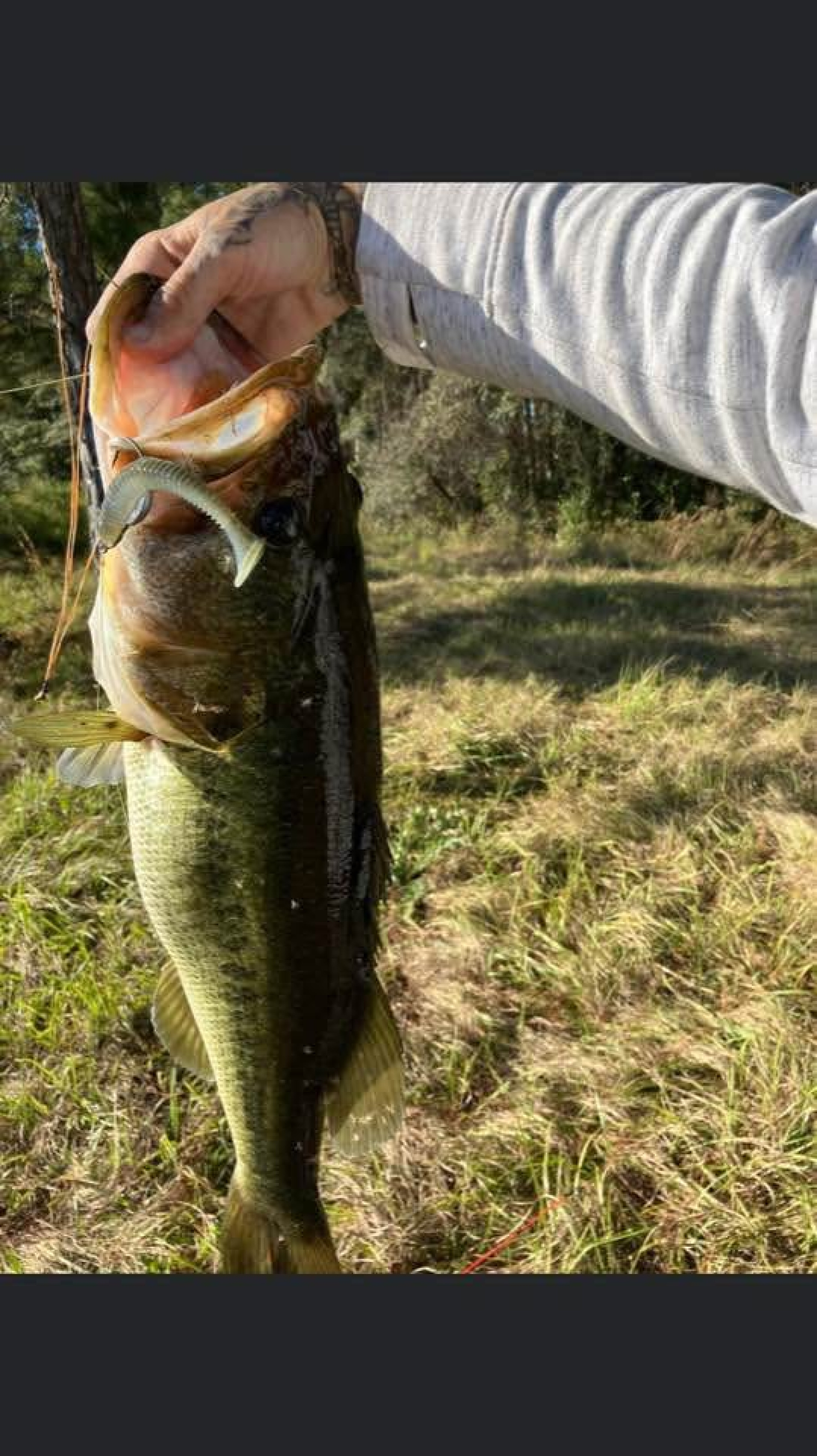 Customer Catch Story: Robert Sims