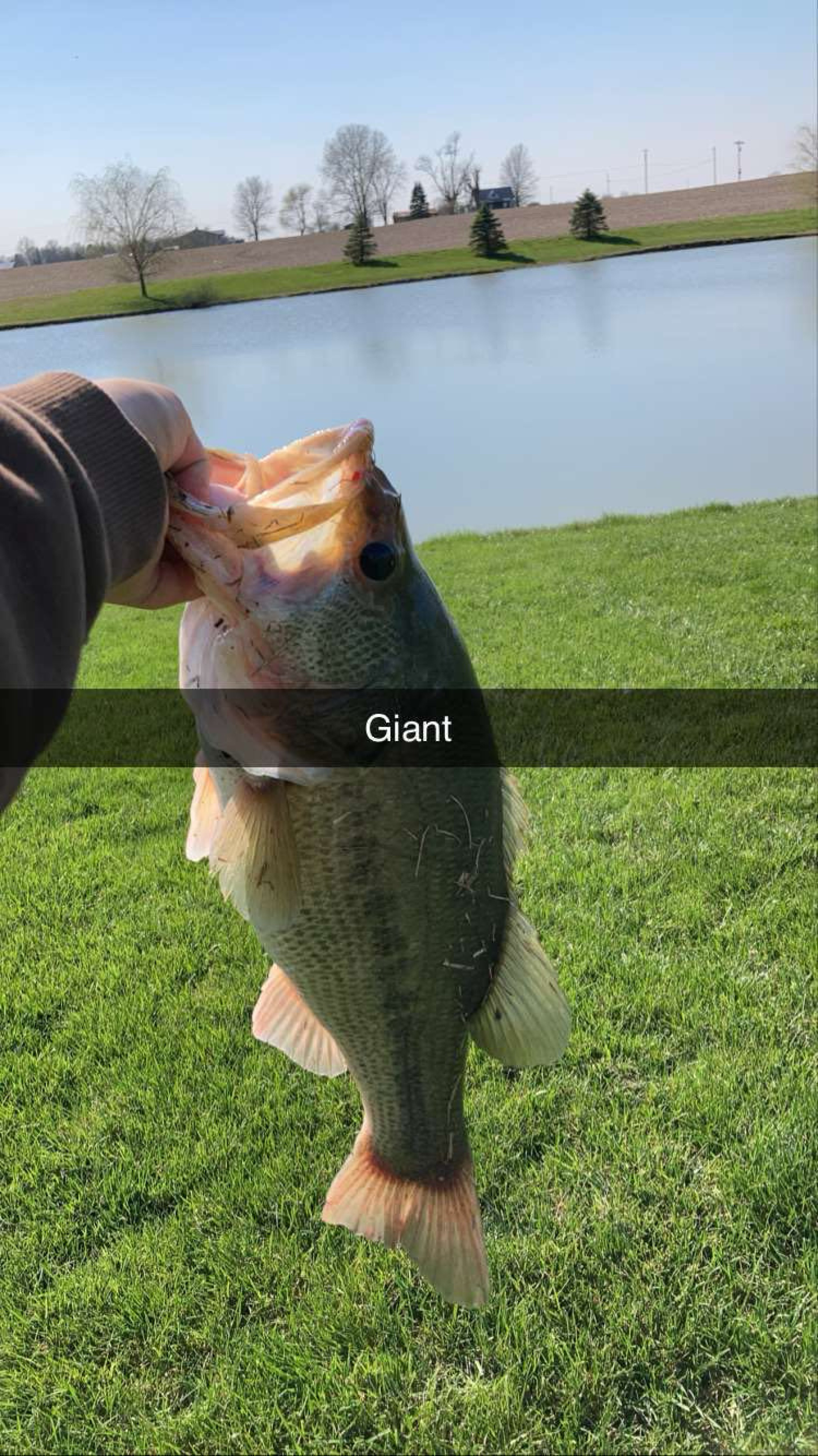 Customer Catch Story: Lane Robards