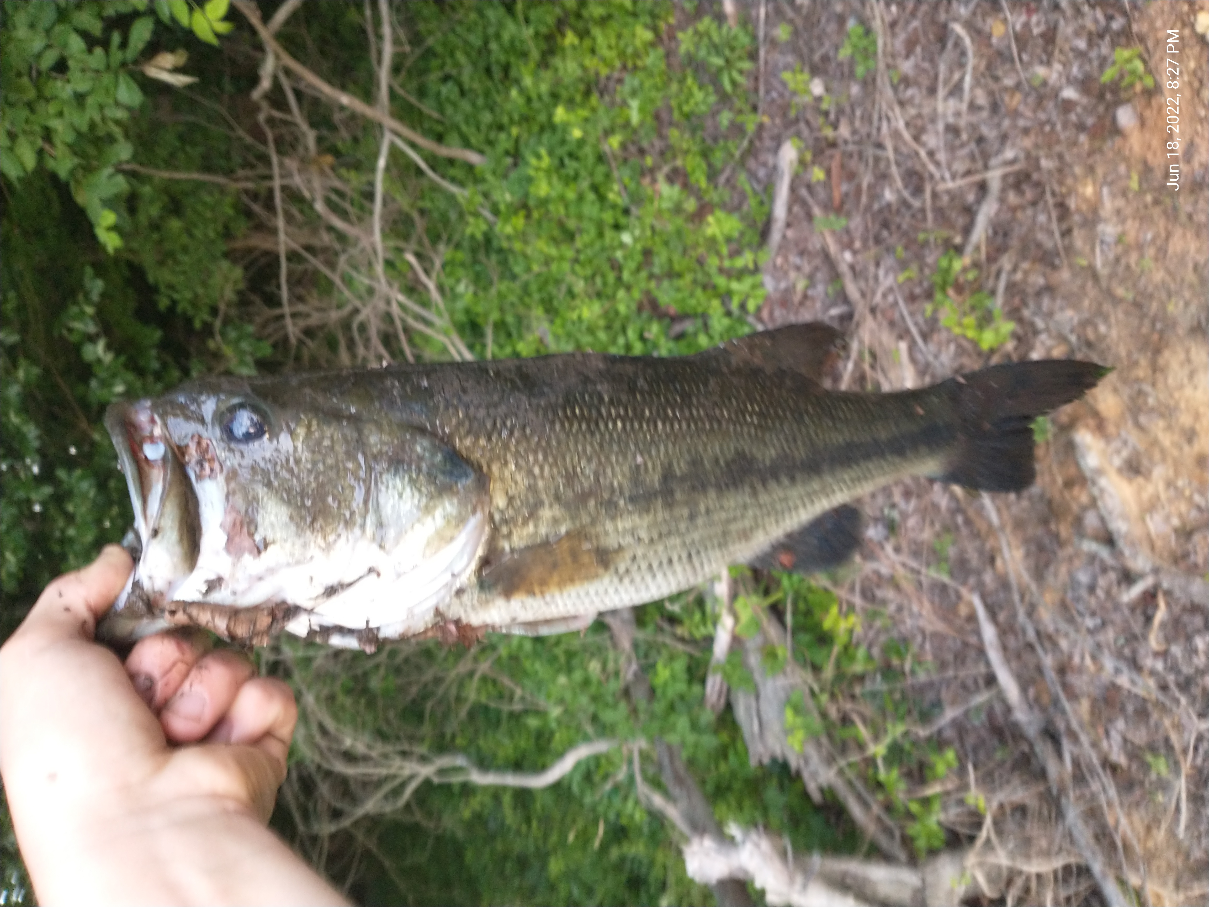 Customer Catch Story: Kolby Peschon