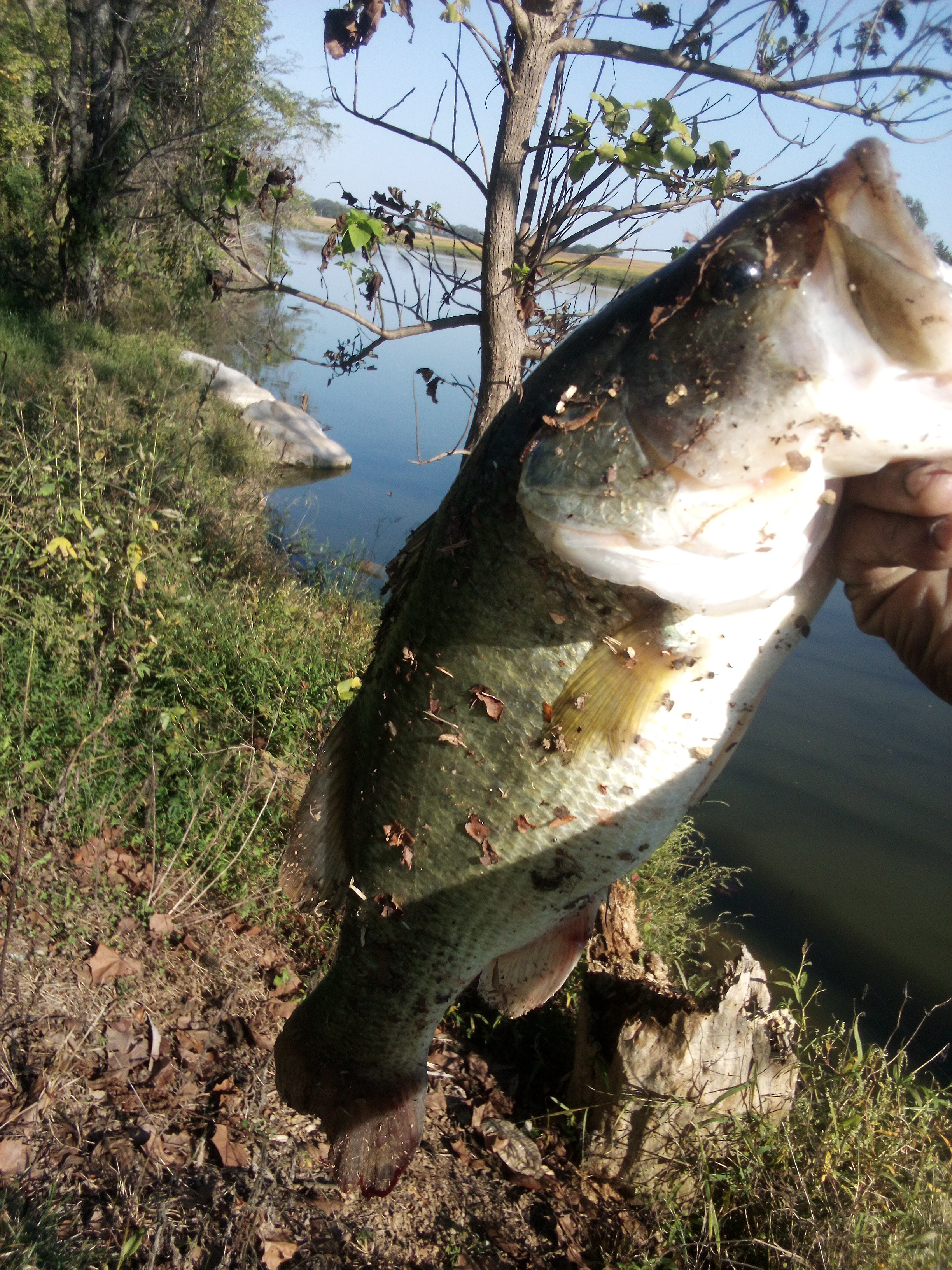Customer Catch Story: Ricky Jessup