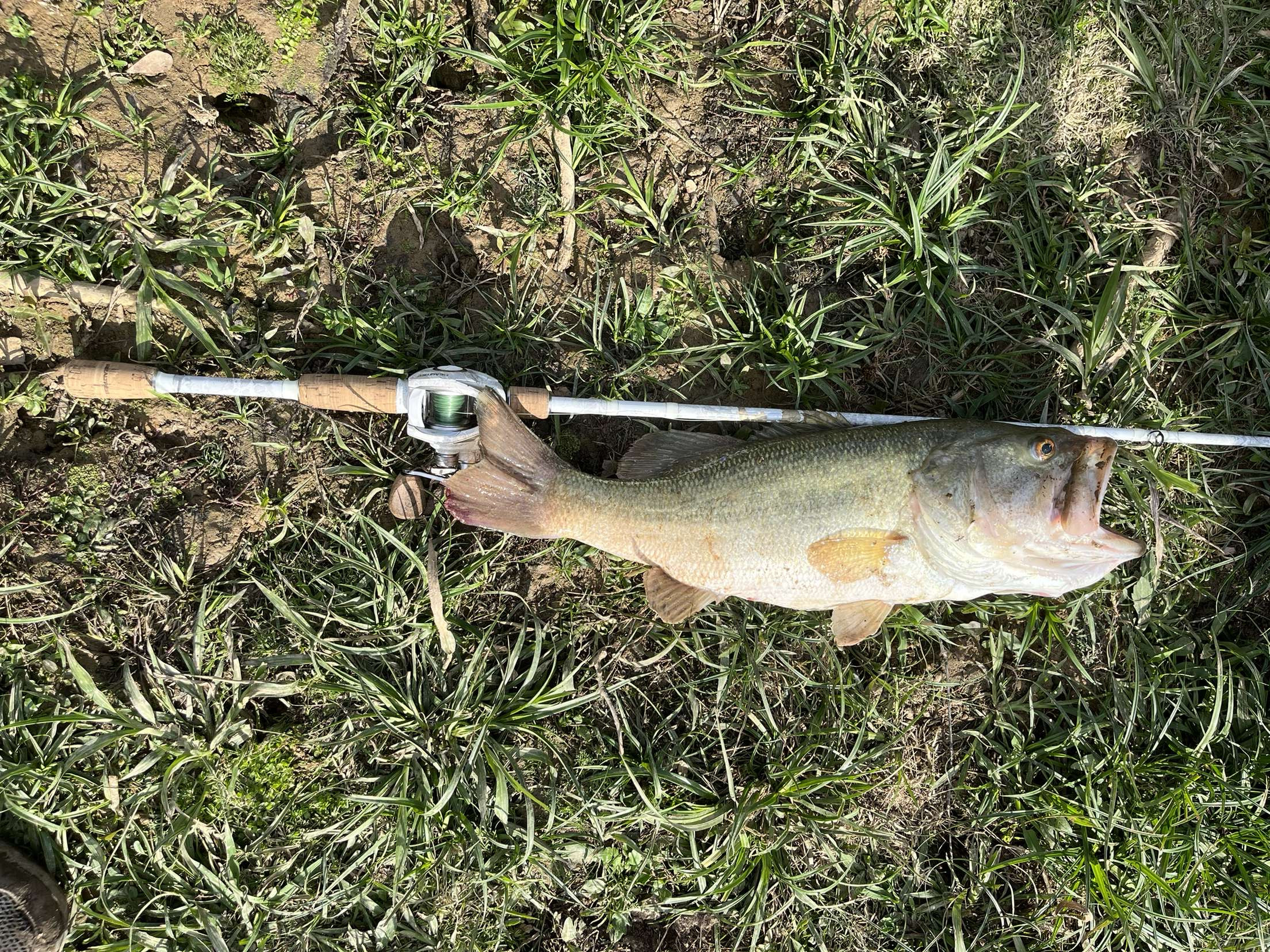 Customer Catch Story: Dalton Thornton