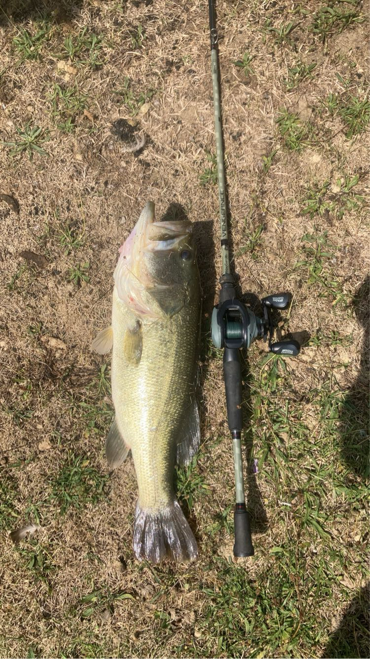 Customer Catch Story: Jacob Hornbaker