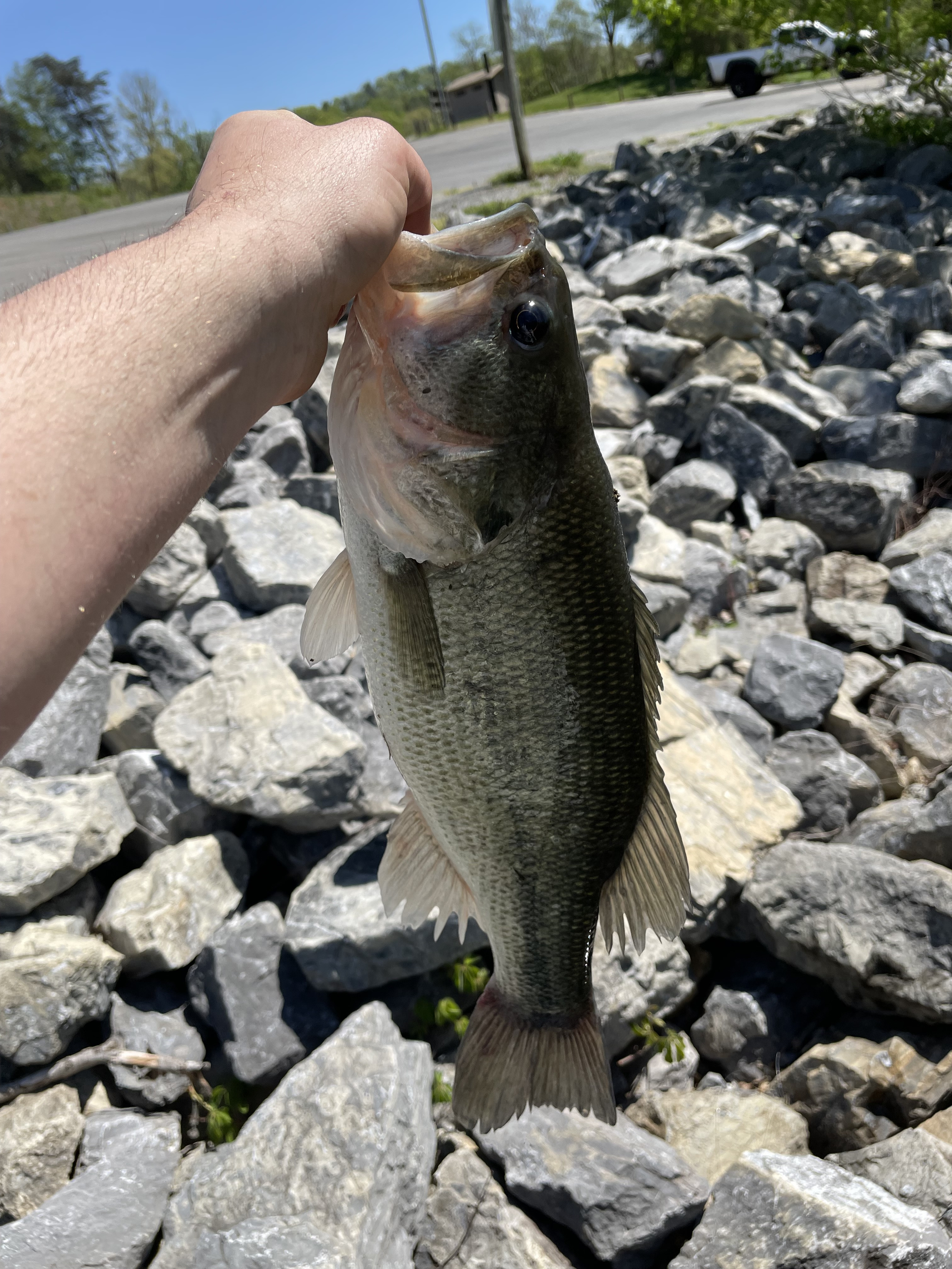 Customer Catch Story: Shae Martin