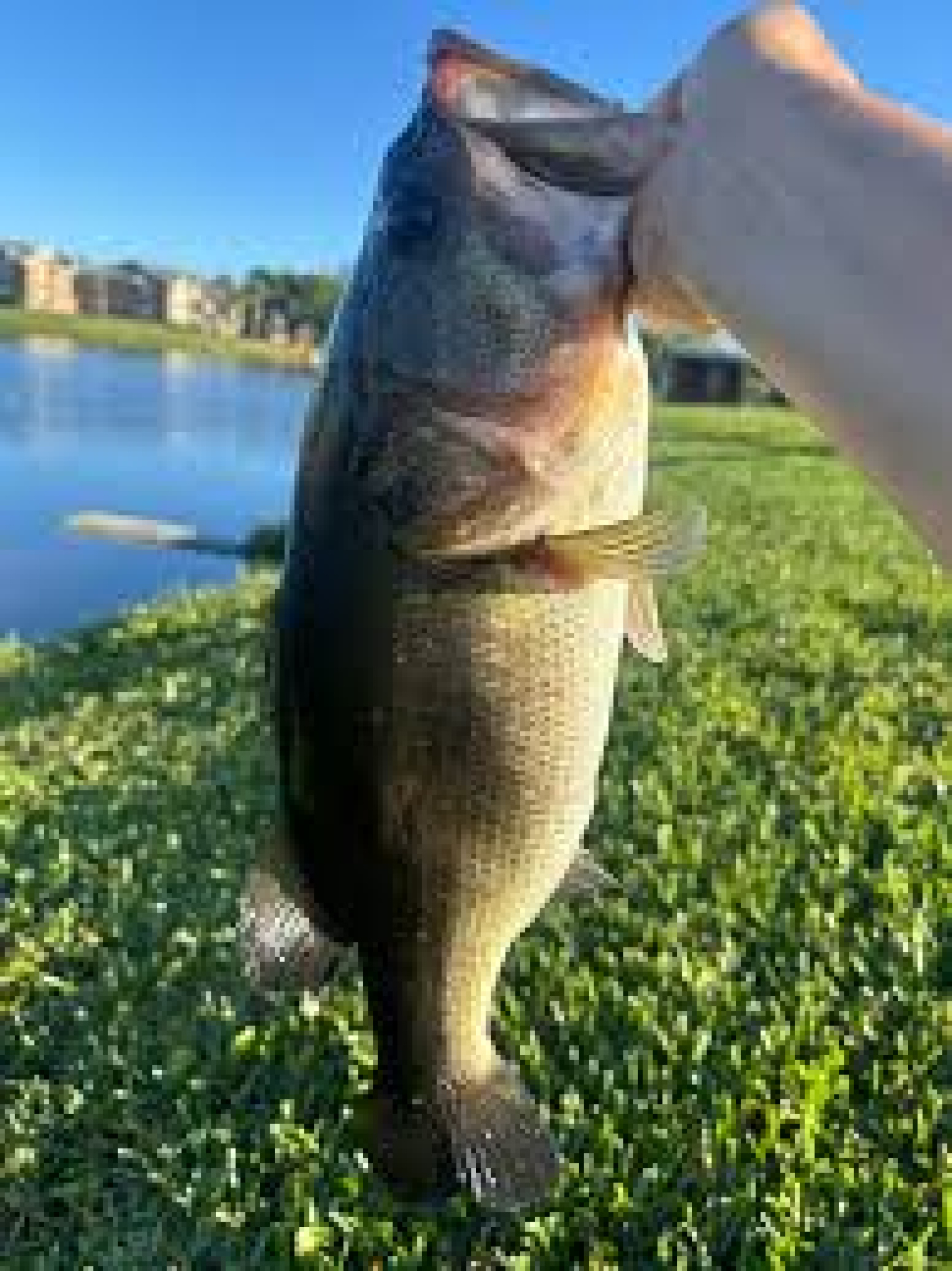 Customer Catch Story: Cole Risley
