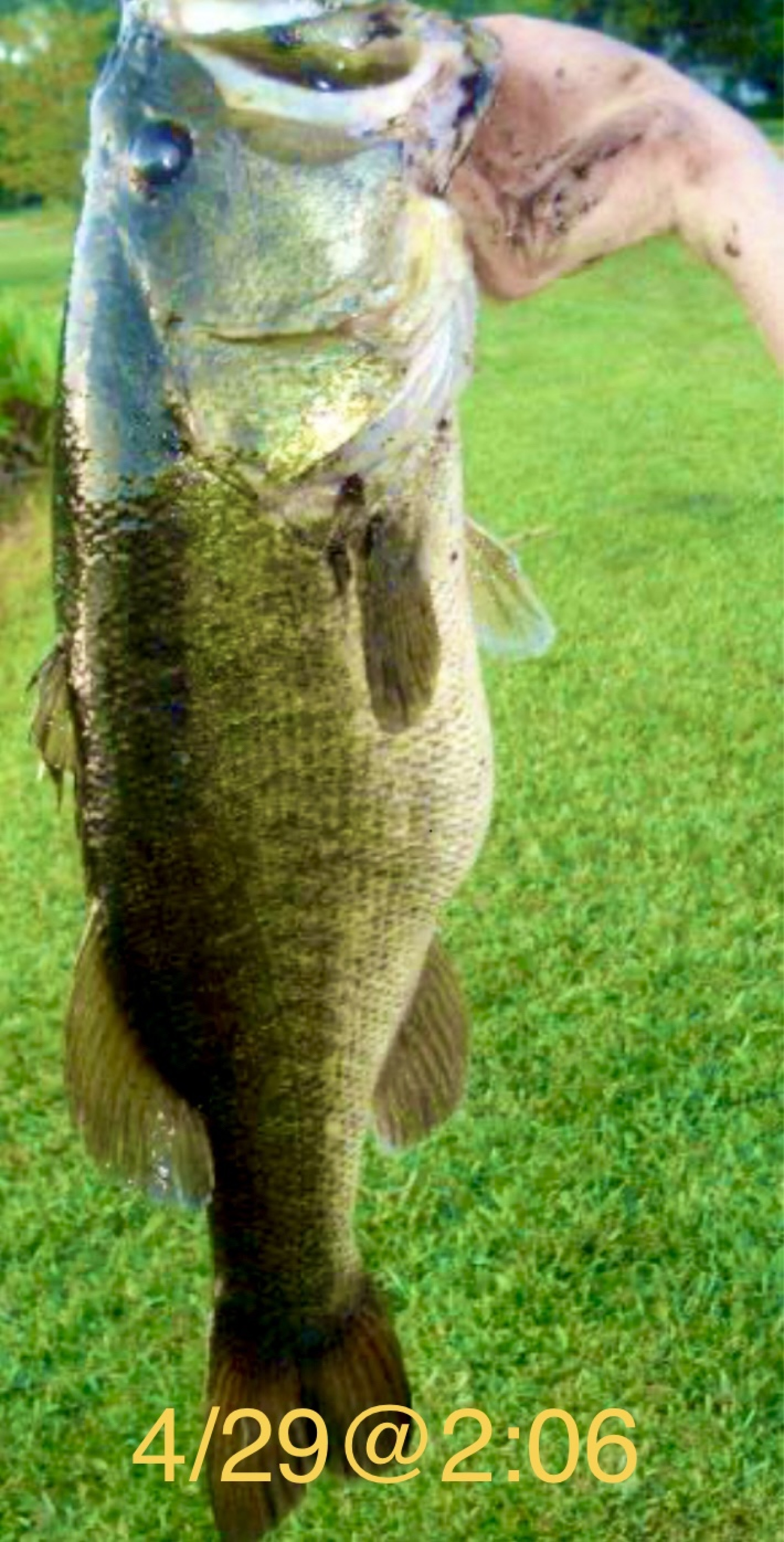 Customer Catch Story: Dennis Cromer