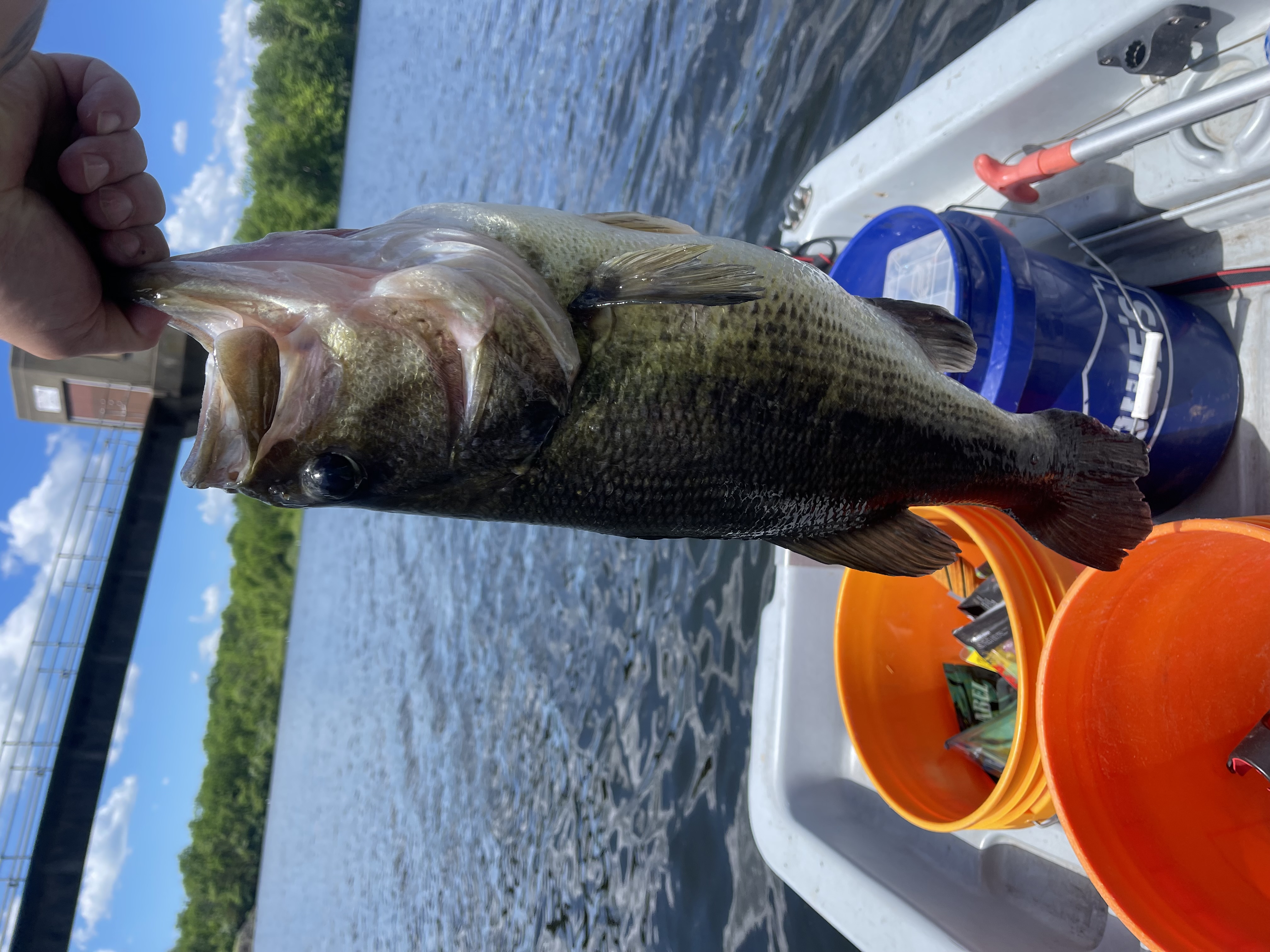 Customer Catch Story: Michael Melso