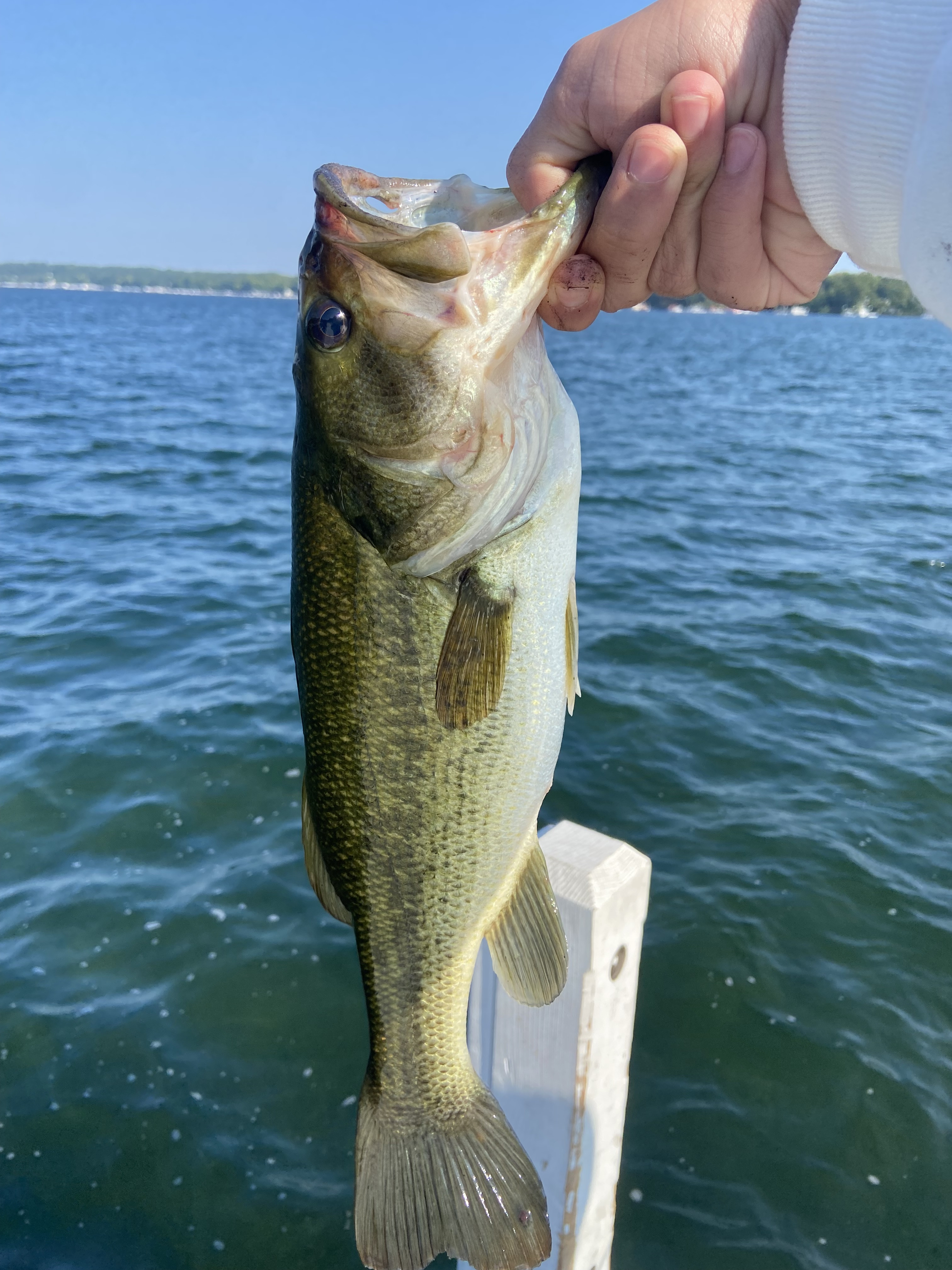 Customer Catch Story: Patrick Grumblatt