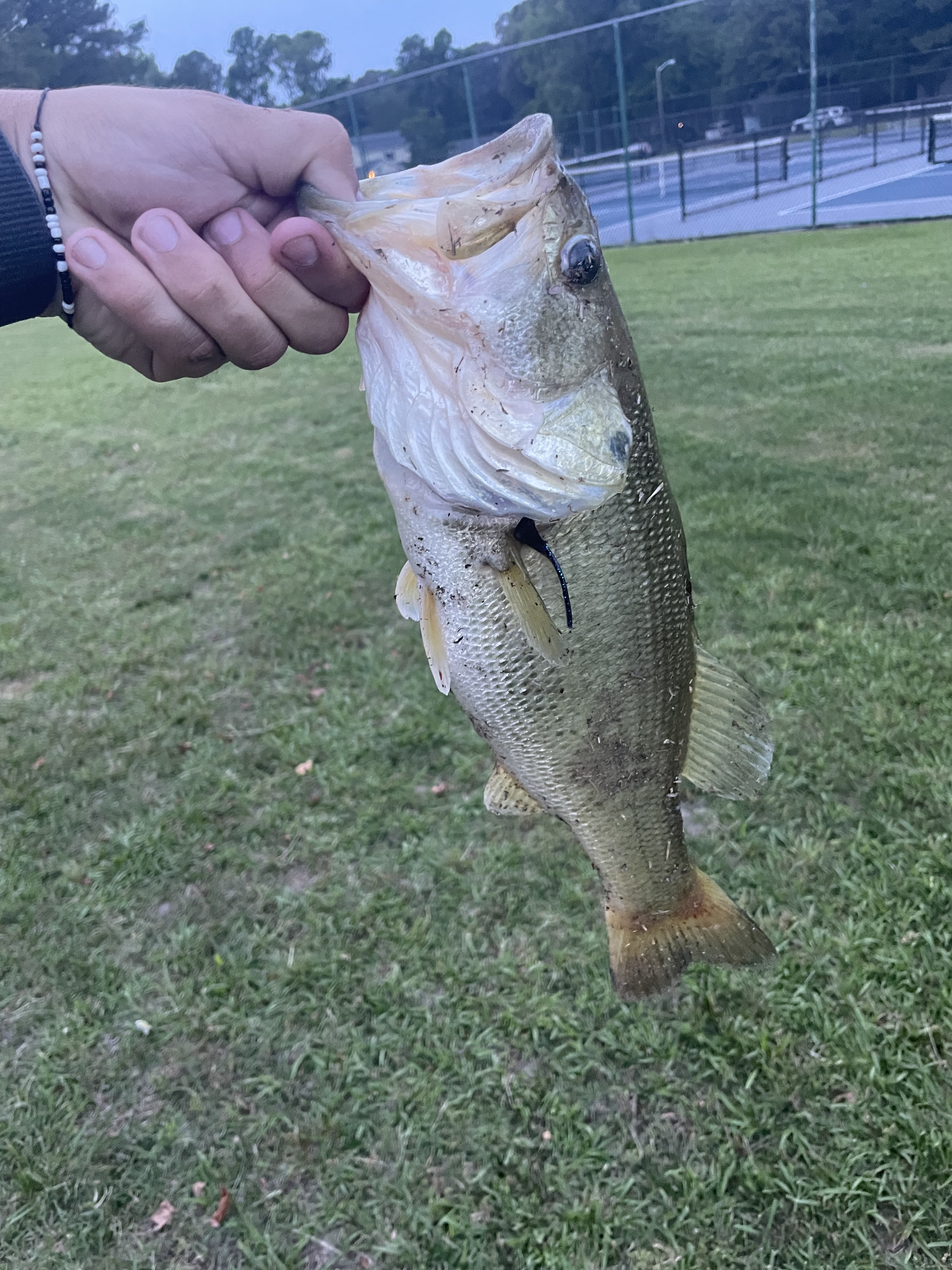Customer Catch Story: Kane Howell