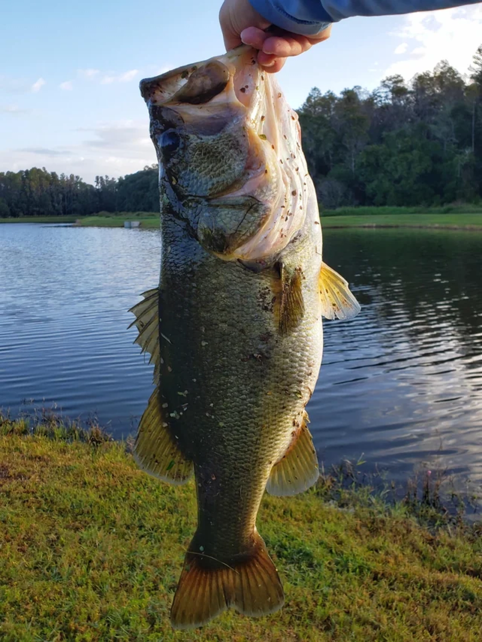 Customer Catch Story: Anthony Jones