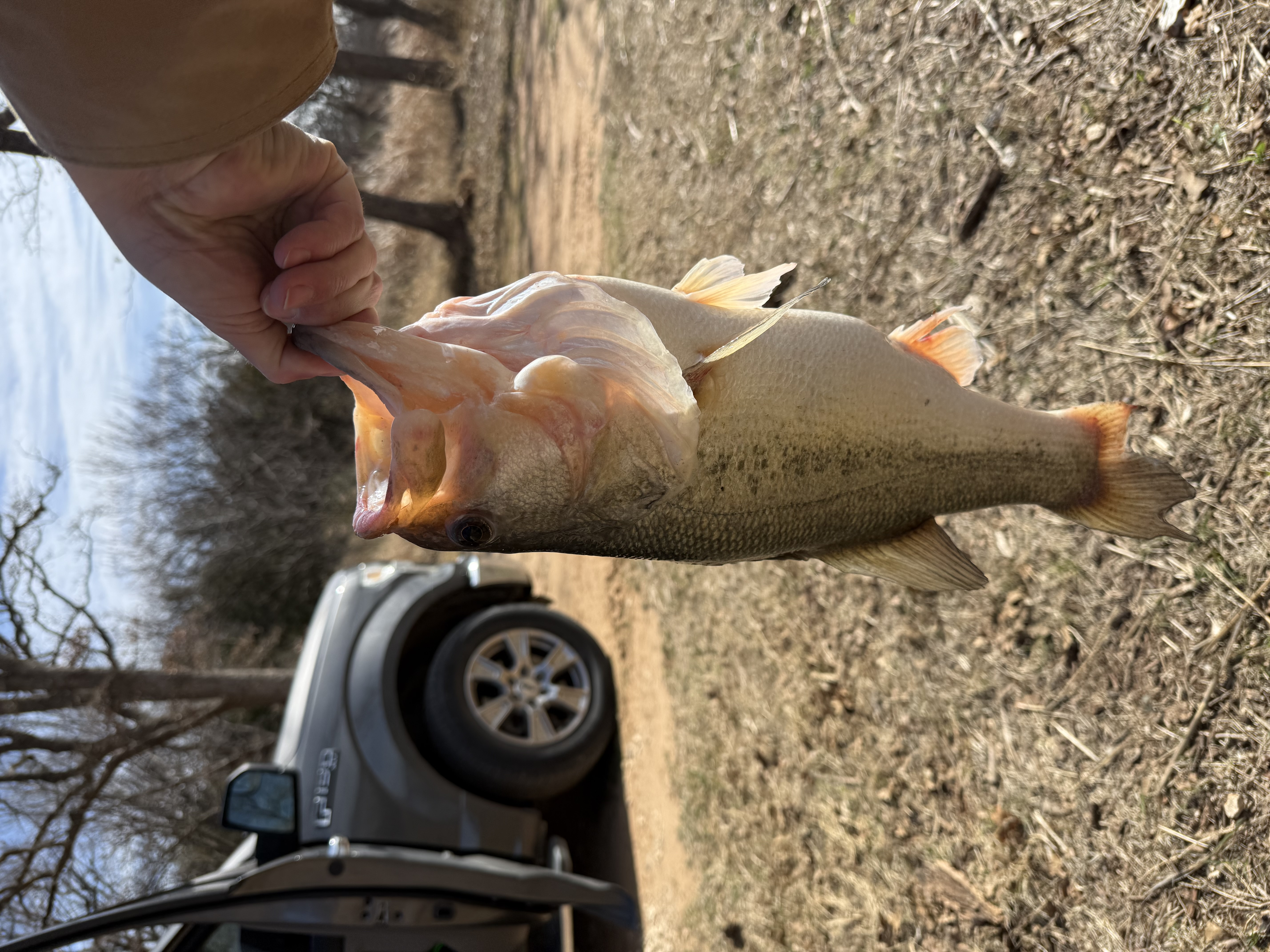 Customer Catch Story: William Cutburth