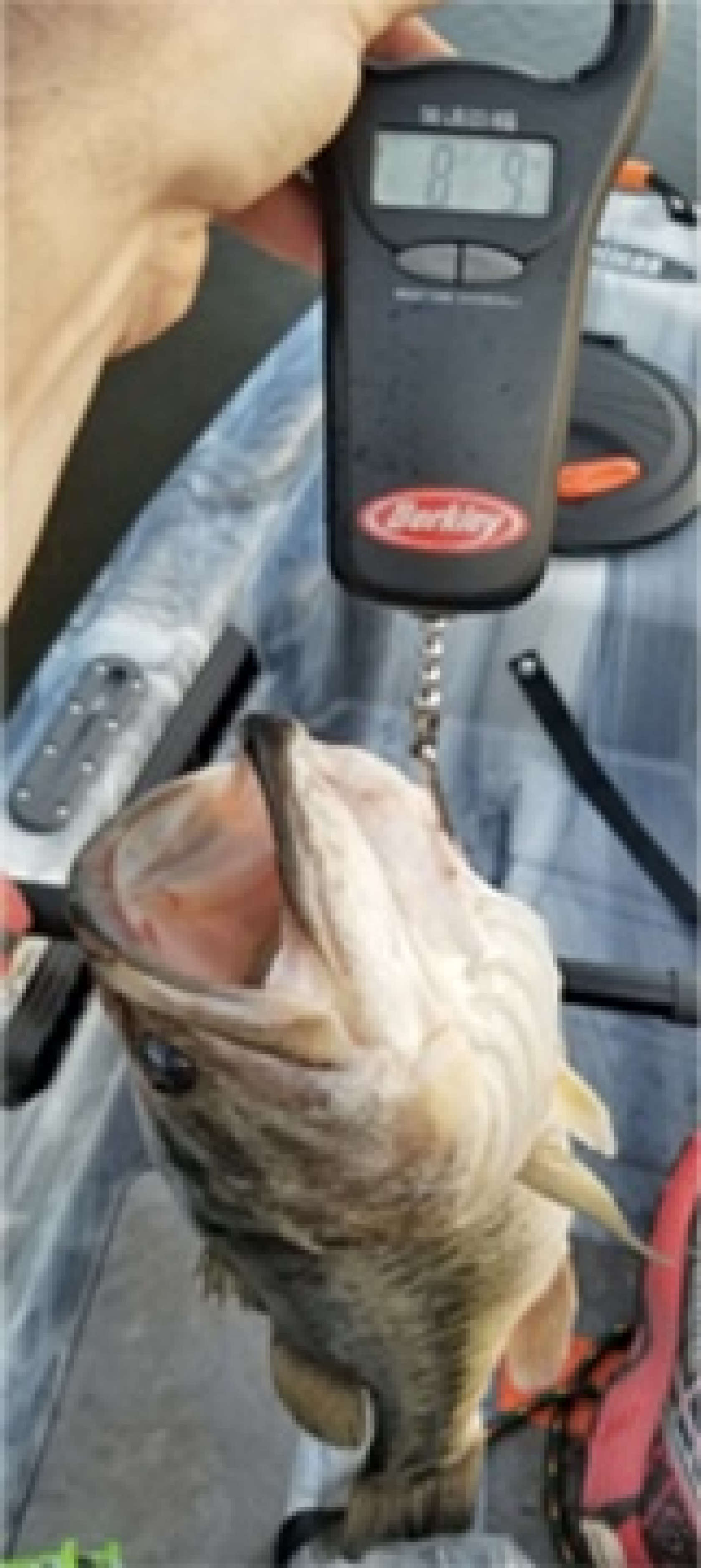 Customer Catch Story: Adriel Torres