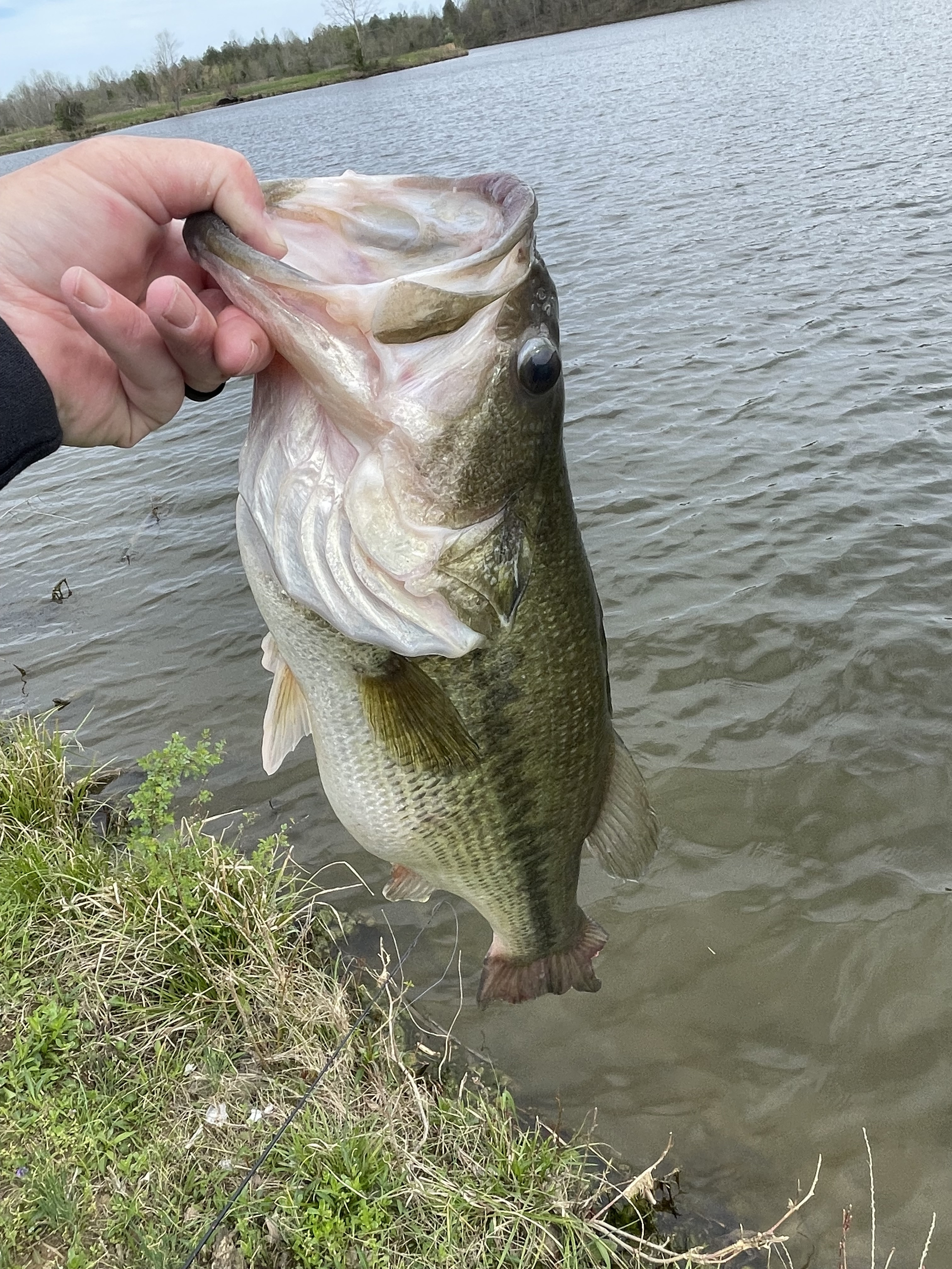 Customer Catch Story: Clint Mclimore