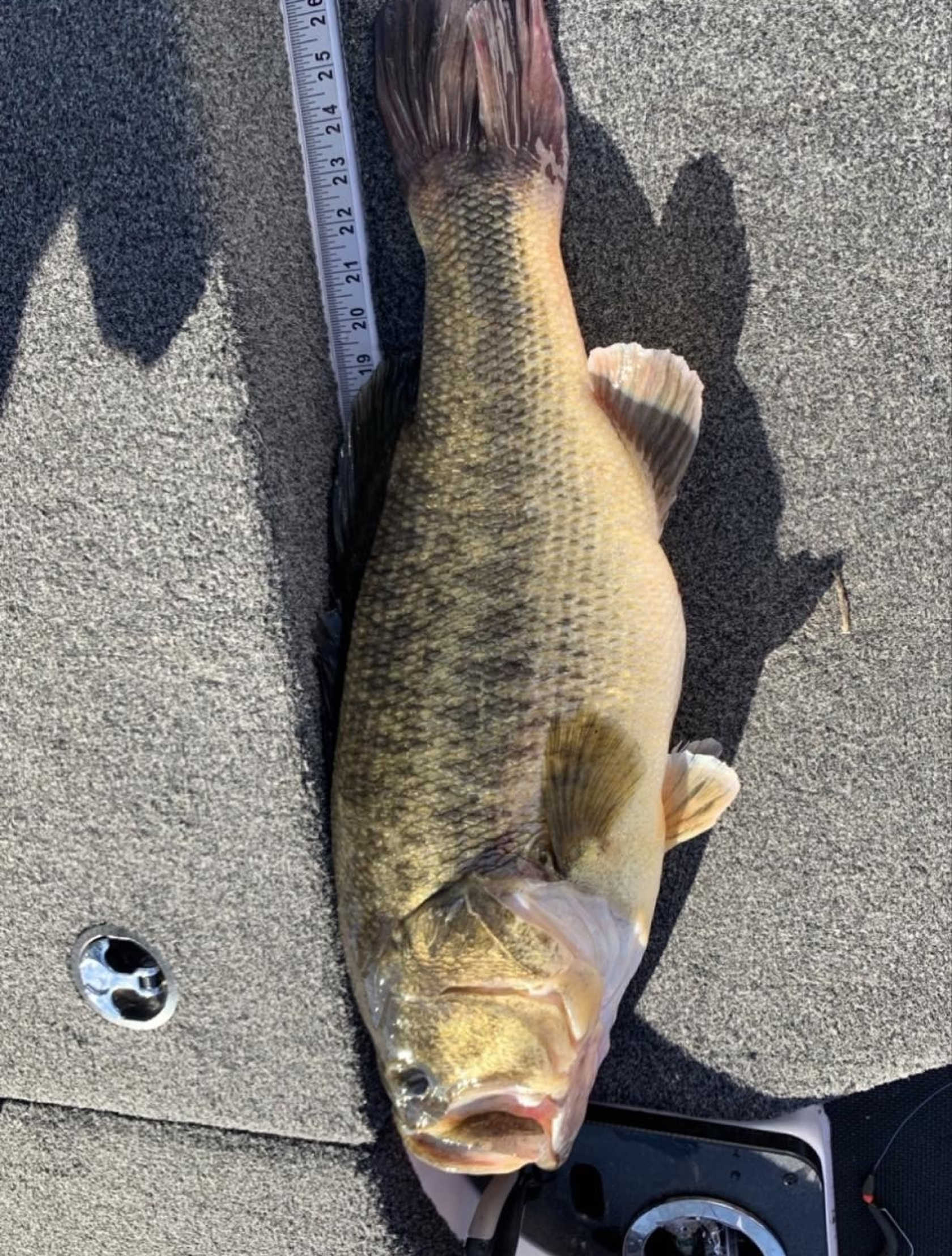 Customer Catch Story: Chris Barry