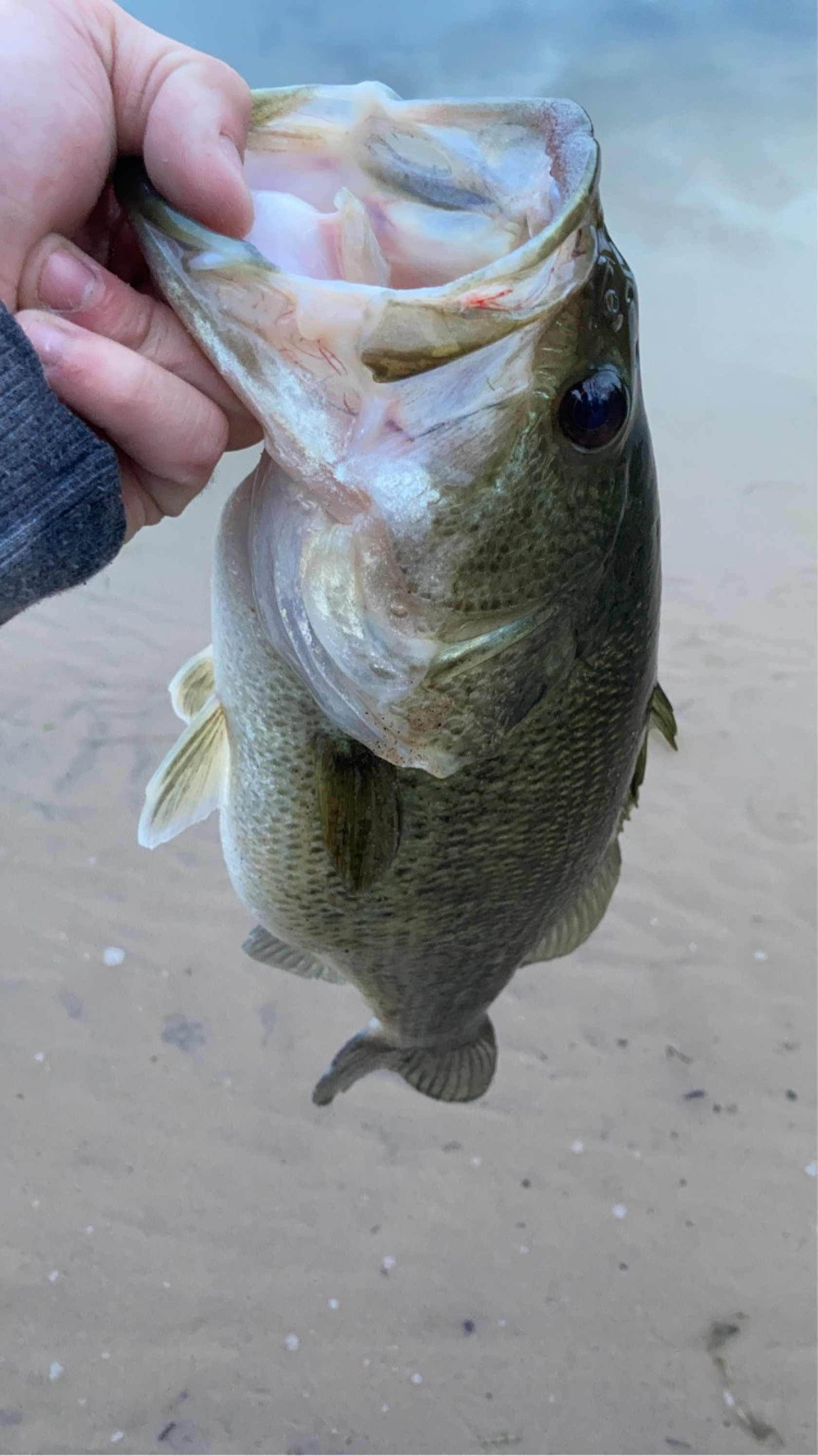 Customer Catch Story: Toby Bradford